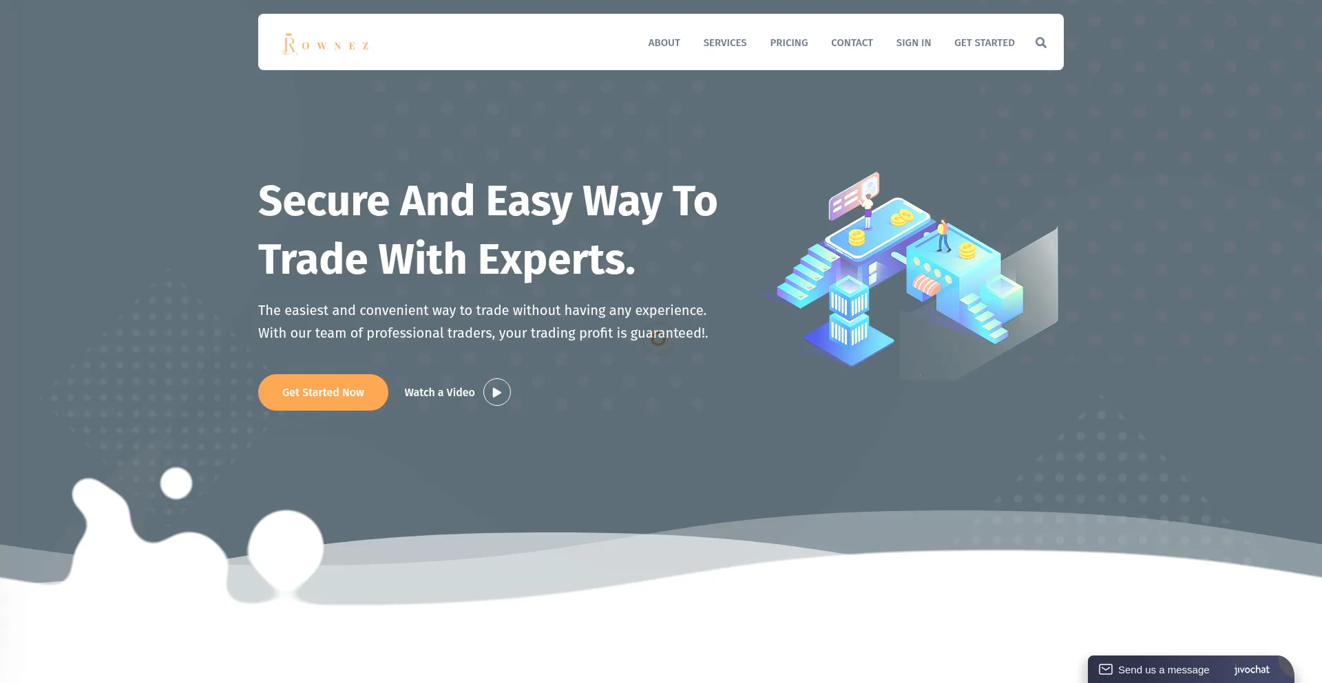 Website screenshot of Rownez.com