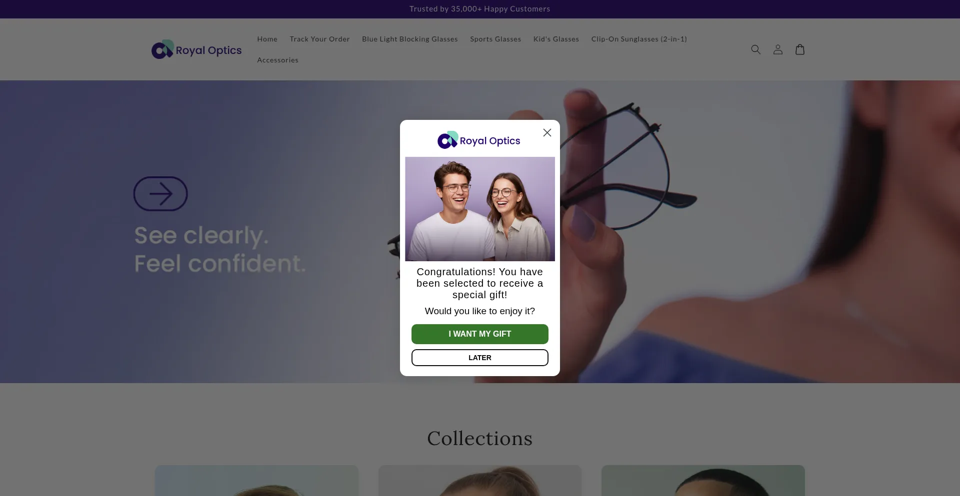 Royalopticsusa.com