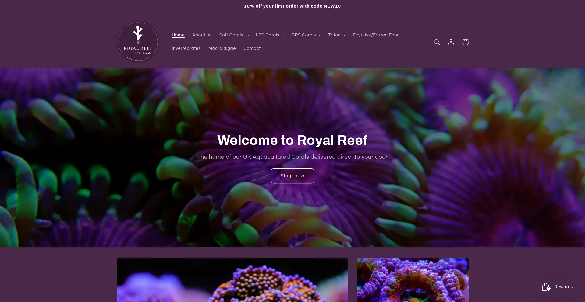 Royalreef.co.uk