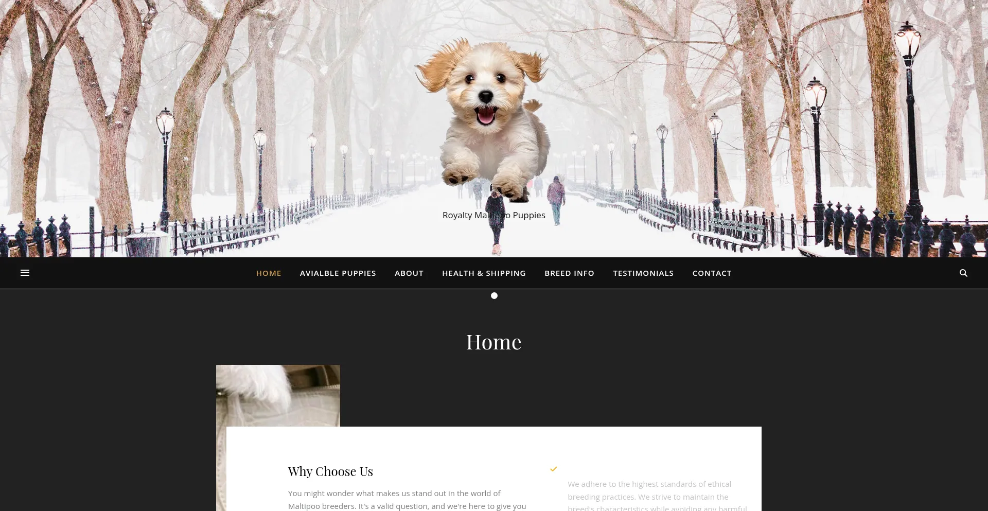 Website screenshot of Royaltymaltipoo.com