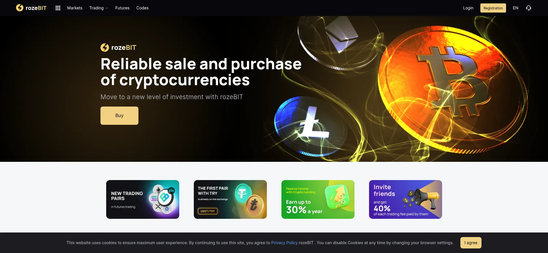Website screenshot of Rozebit.net
