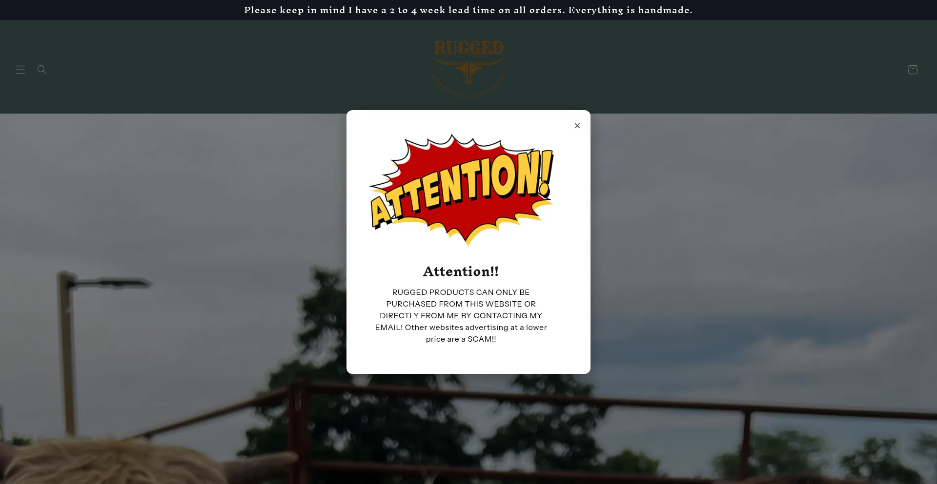 ¿És Seguro y Confiable Ruggedtx.com?