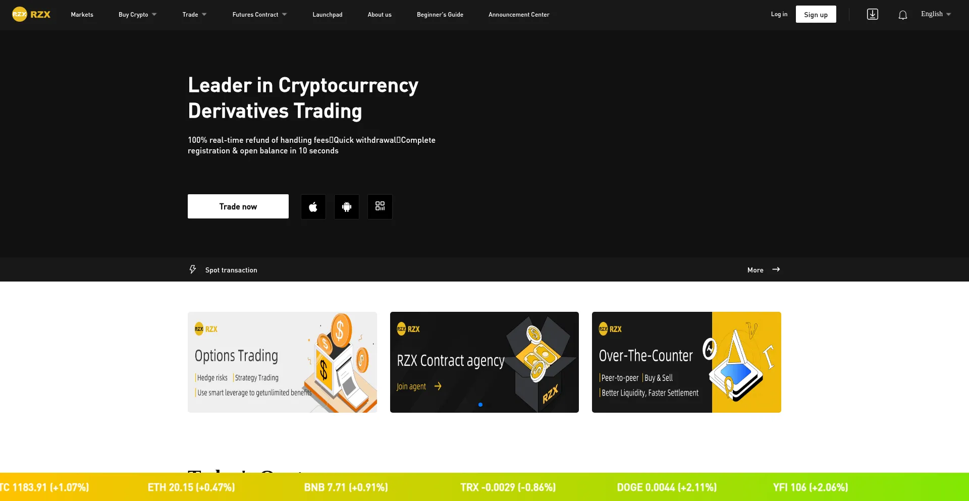 Website screenshot of Rzxpc.com
