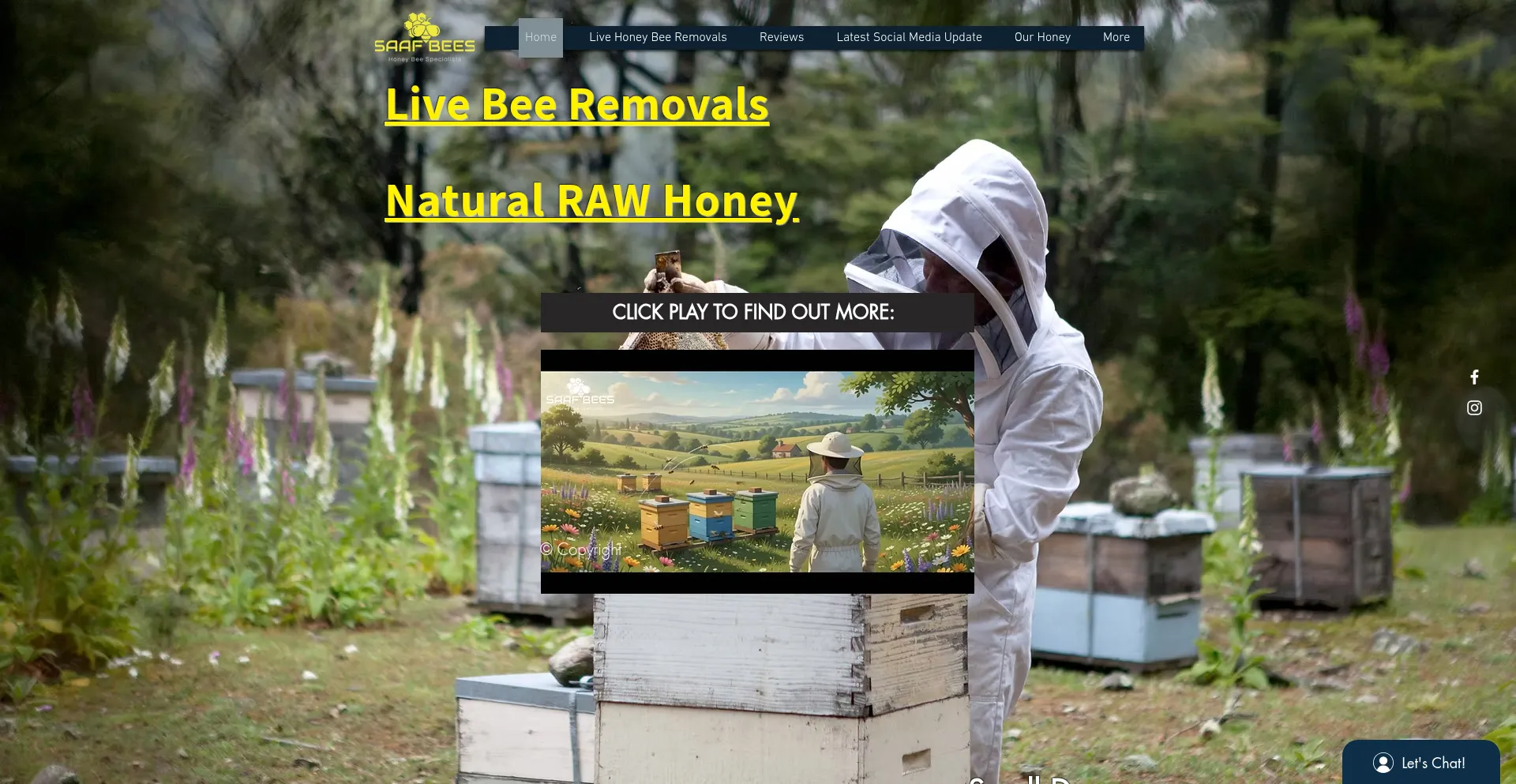 Saafbees.com