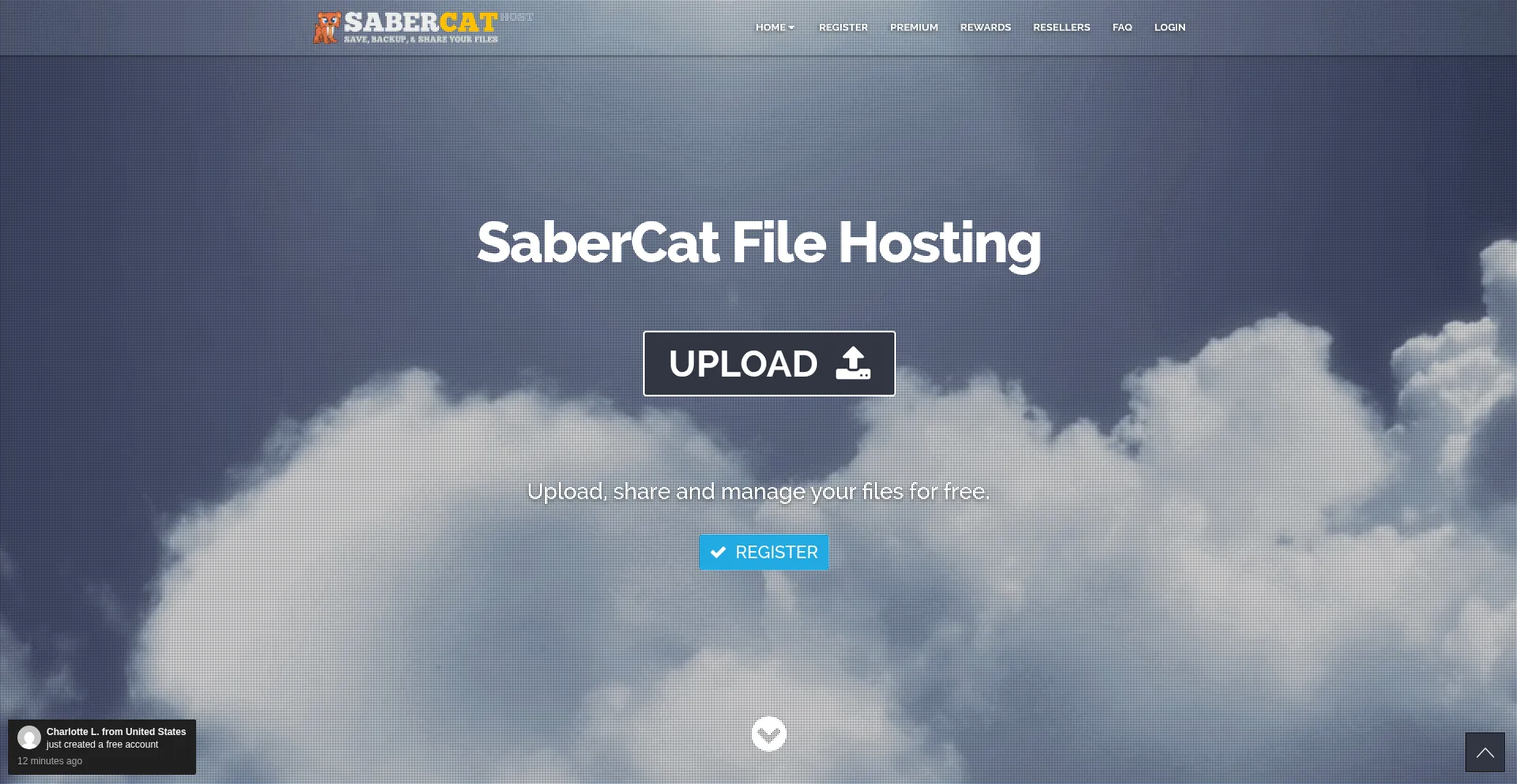 Sabercathost.com
