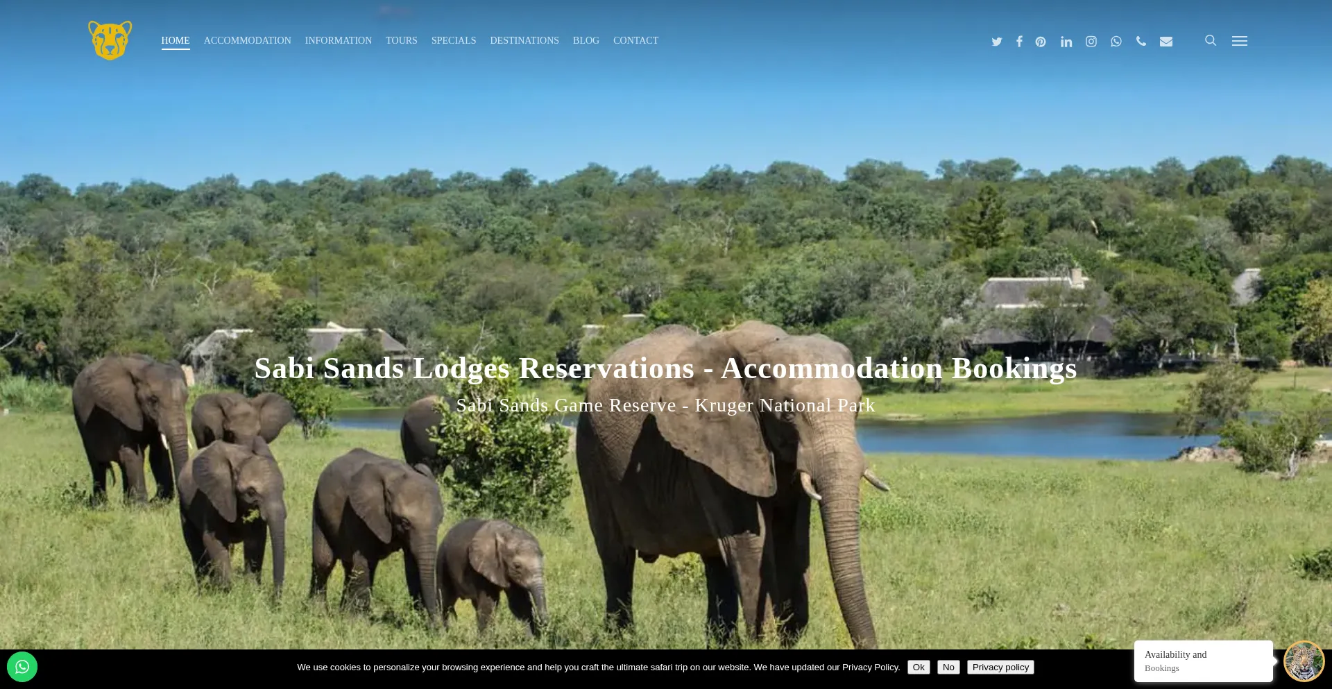 Website screenshot of Sabisandslodges.com