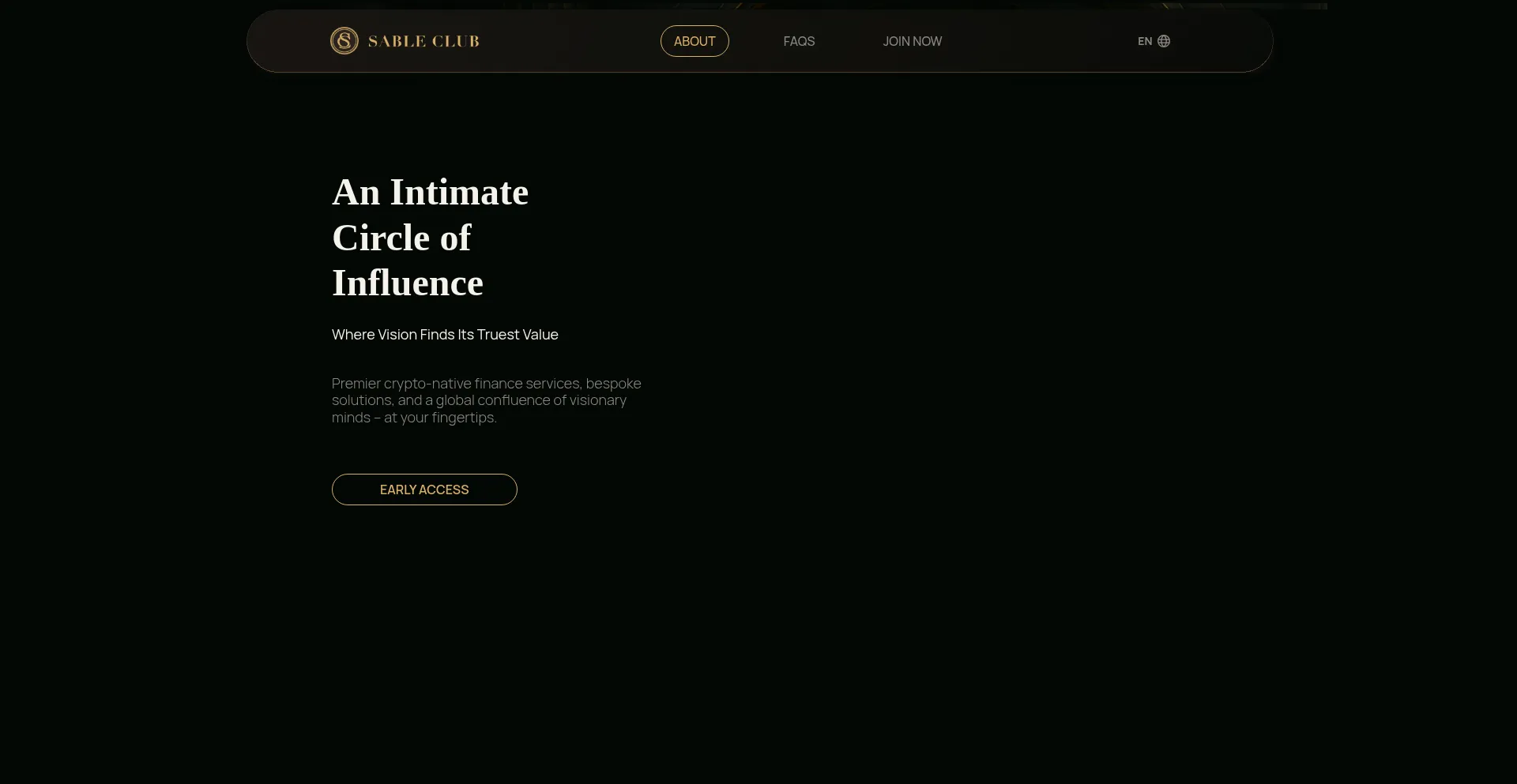 Website screenshot of Sableclub.com