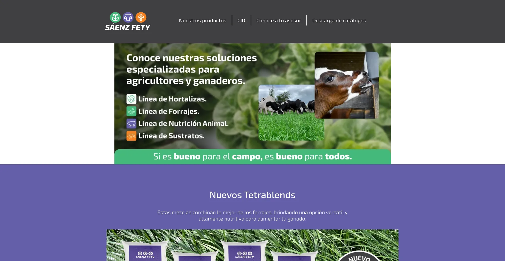 Saenzfety.com