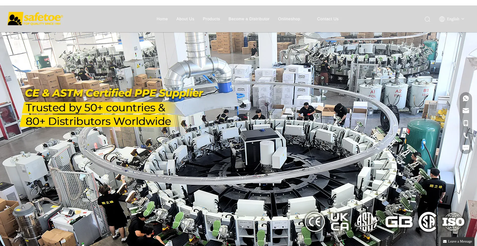 Website screenshot of Safetoe.net