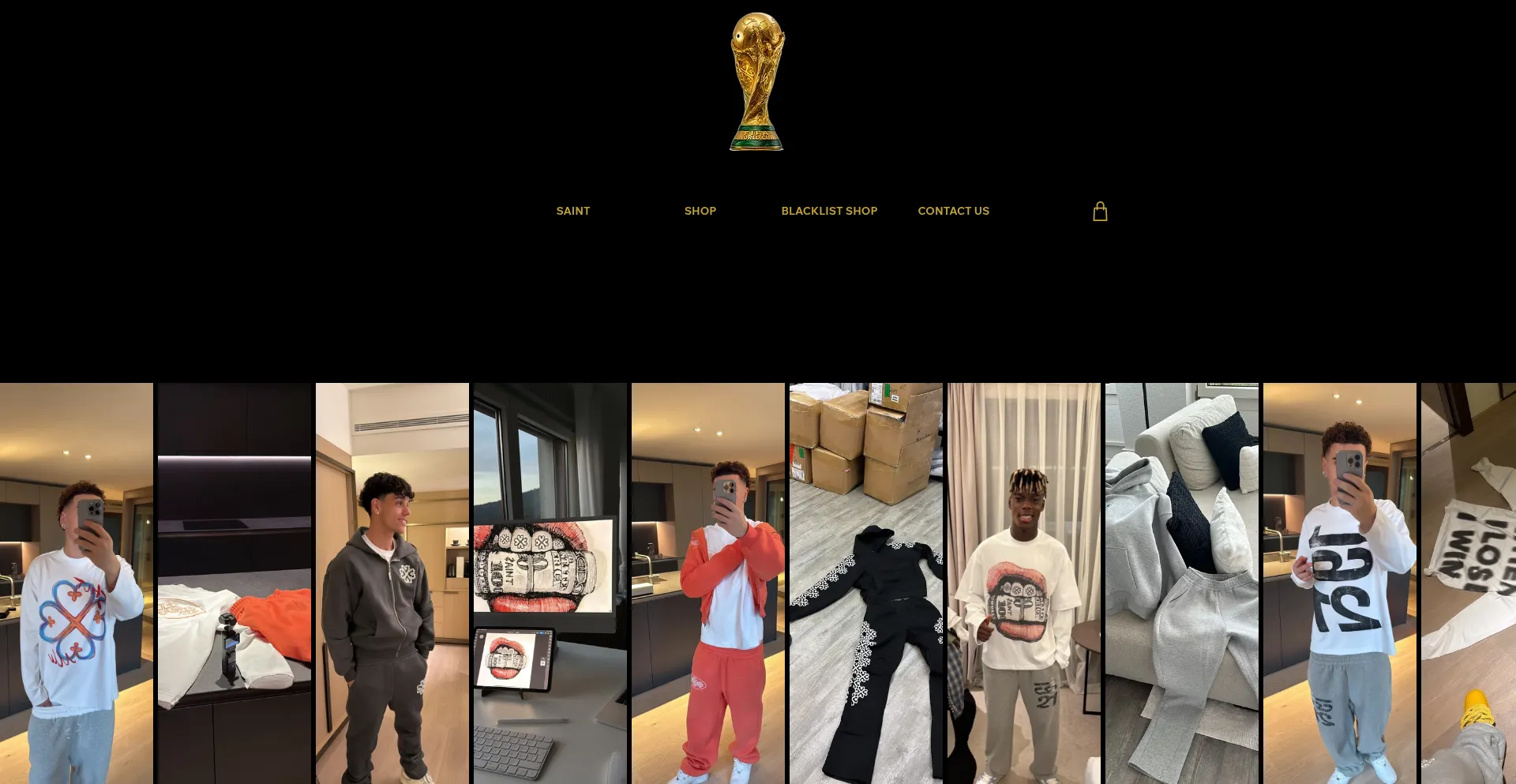 Saiintstore.net