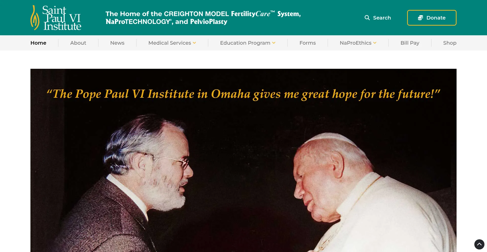 ¿És Seguro y Confiable Saintpaulvi.com?