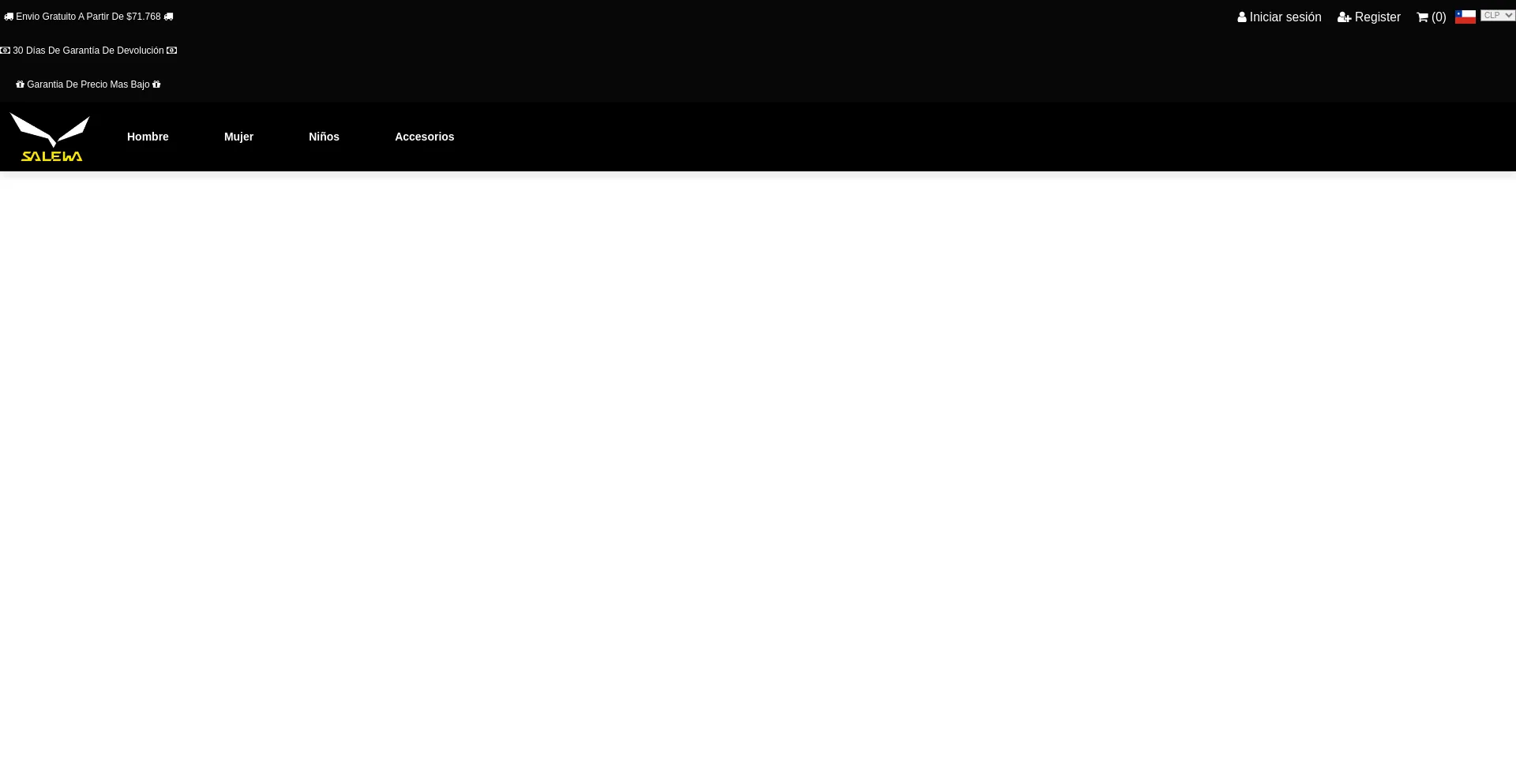 Website screenshot of Salewachile.com