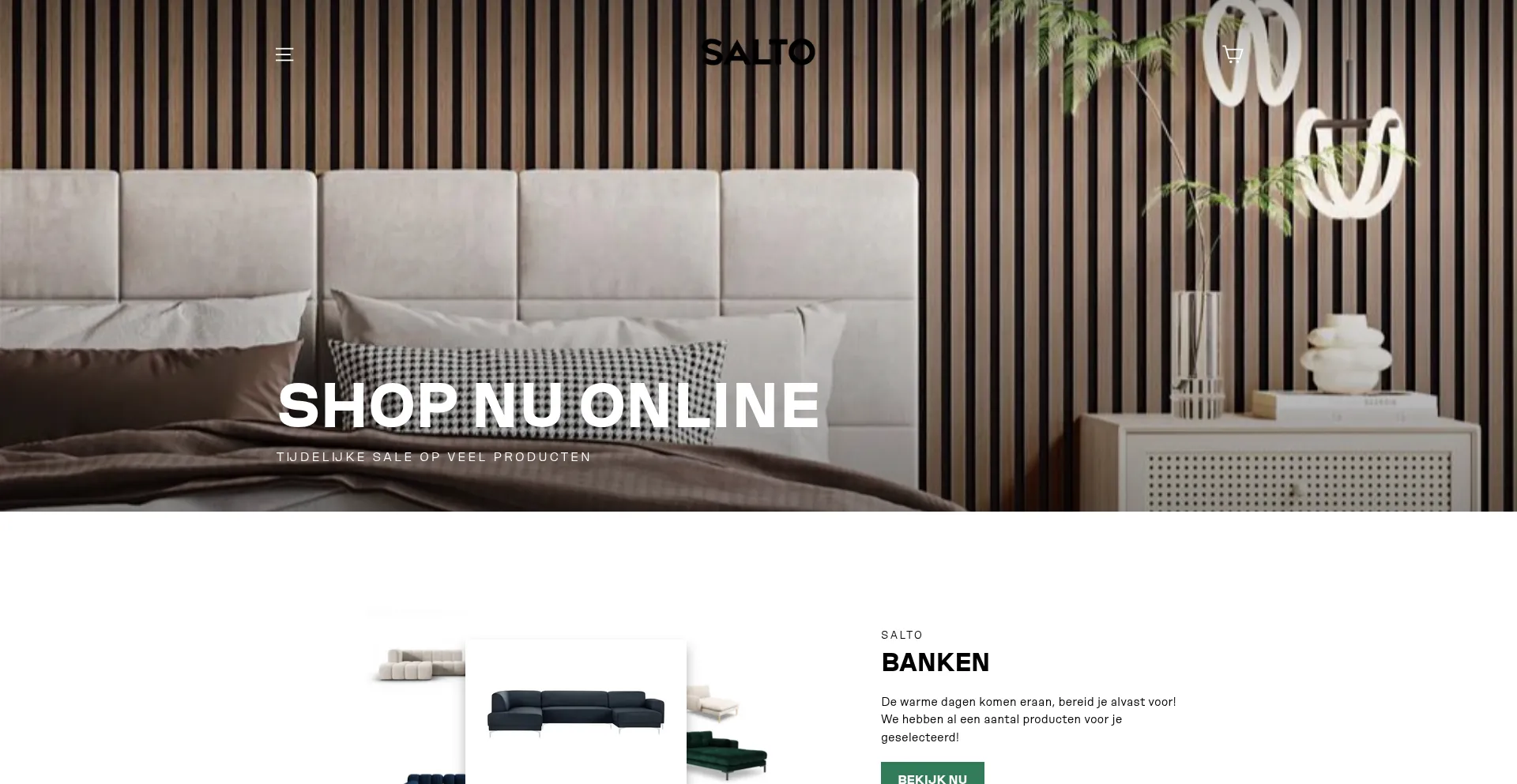 Website screenshot of Saltosluit.com