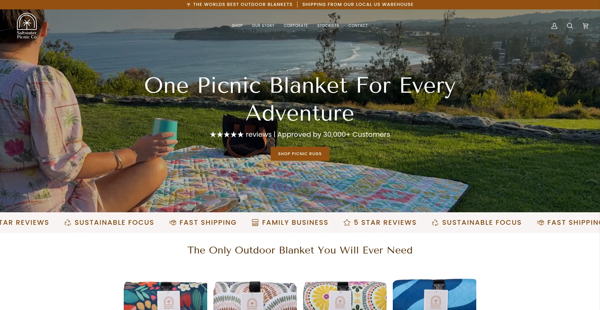 Saltwaterpicnic.co