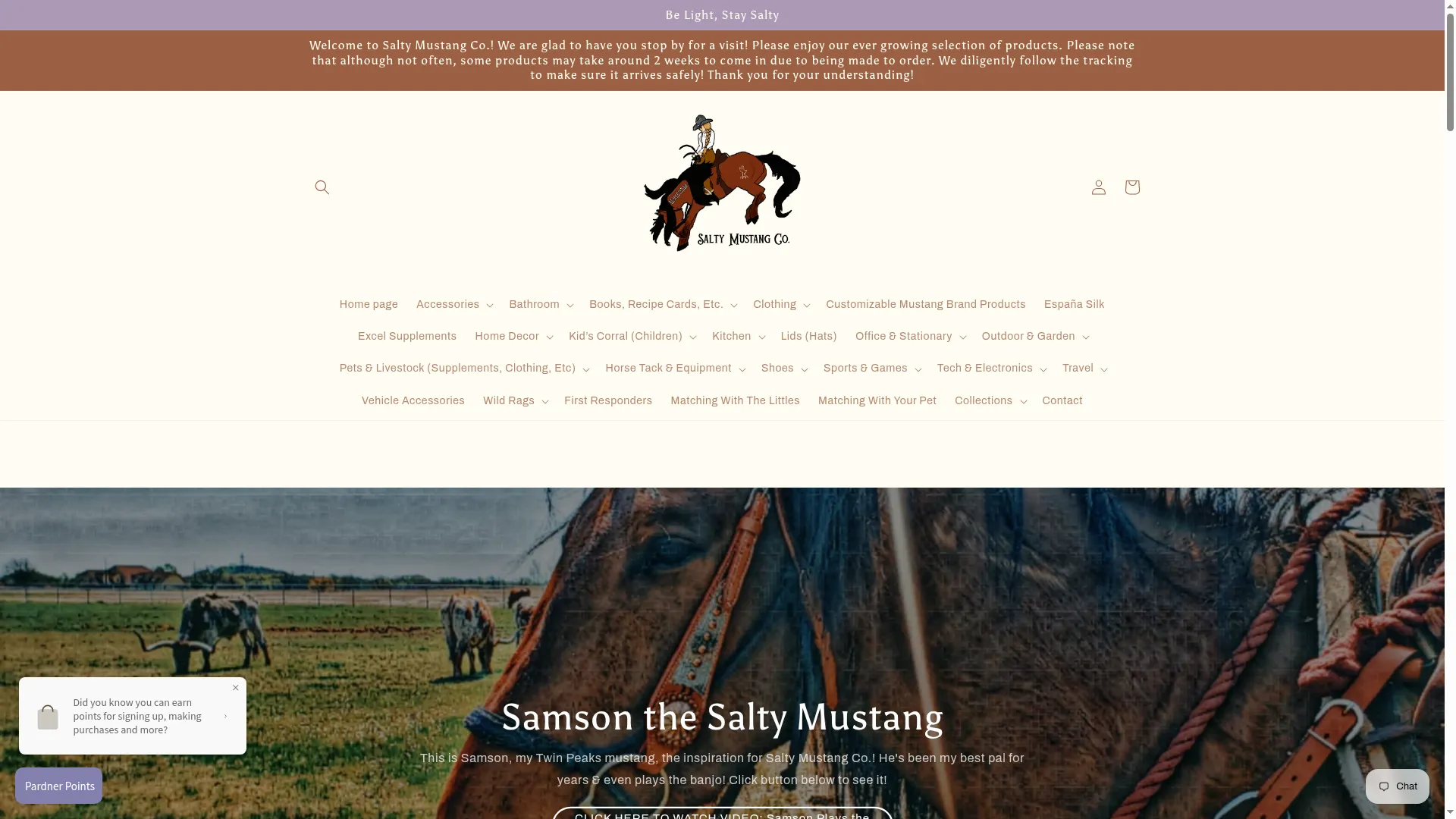 Saltymustangco.com