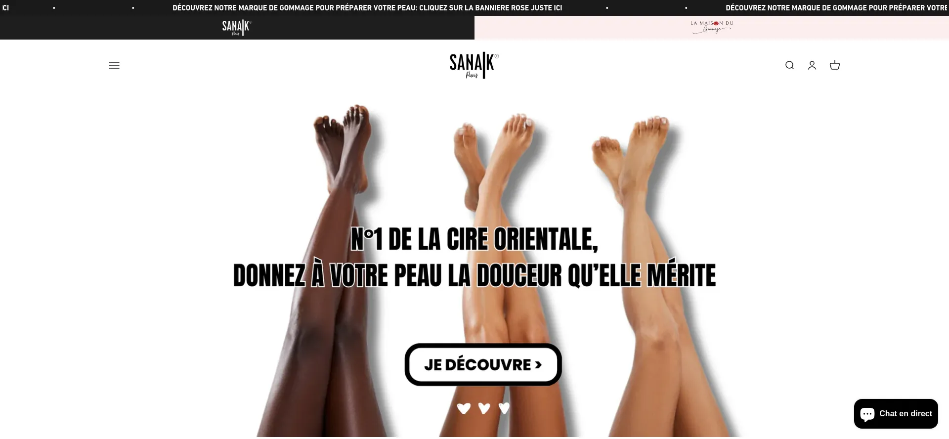 Website screenshot of Sanakparis.com