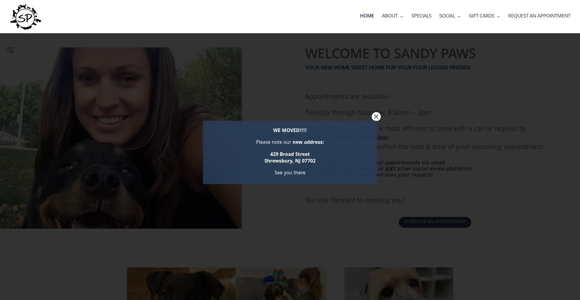 Sandypawsnj.com