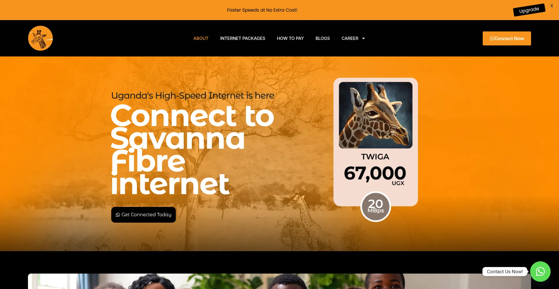¿És Seguro y Confiable Savannafibre.com?