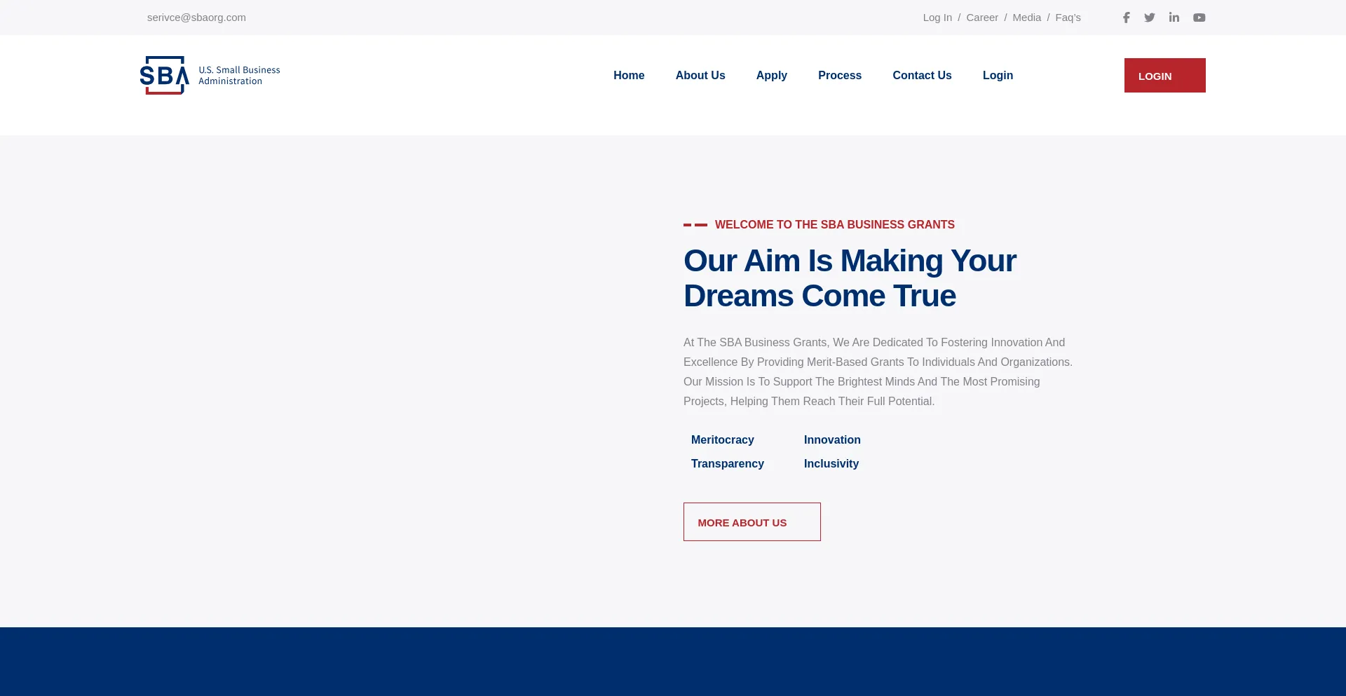 Website screenshot of Sbaorg.com