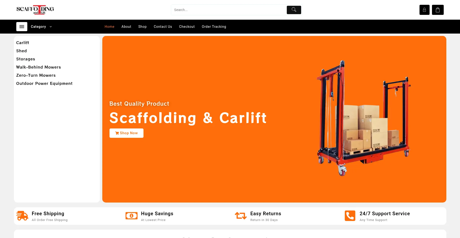 Website screenshot of Scaffoldingandlift.com