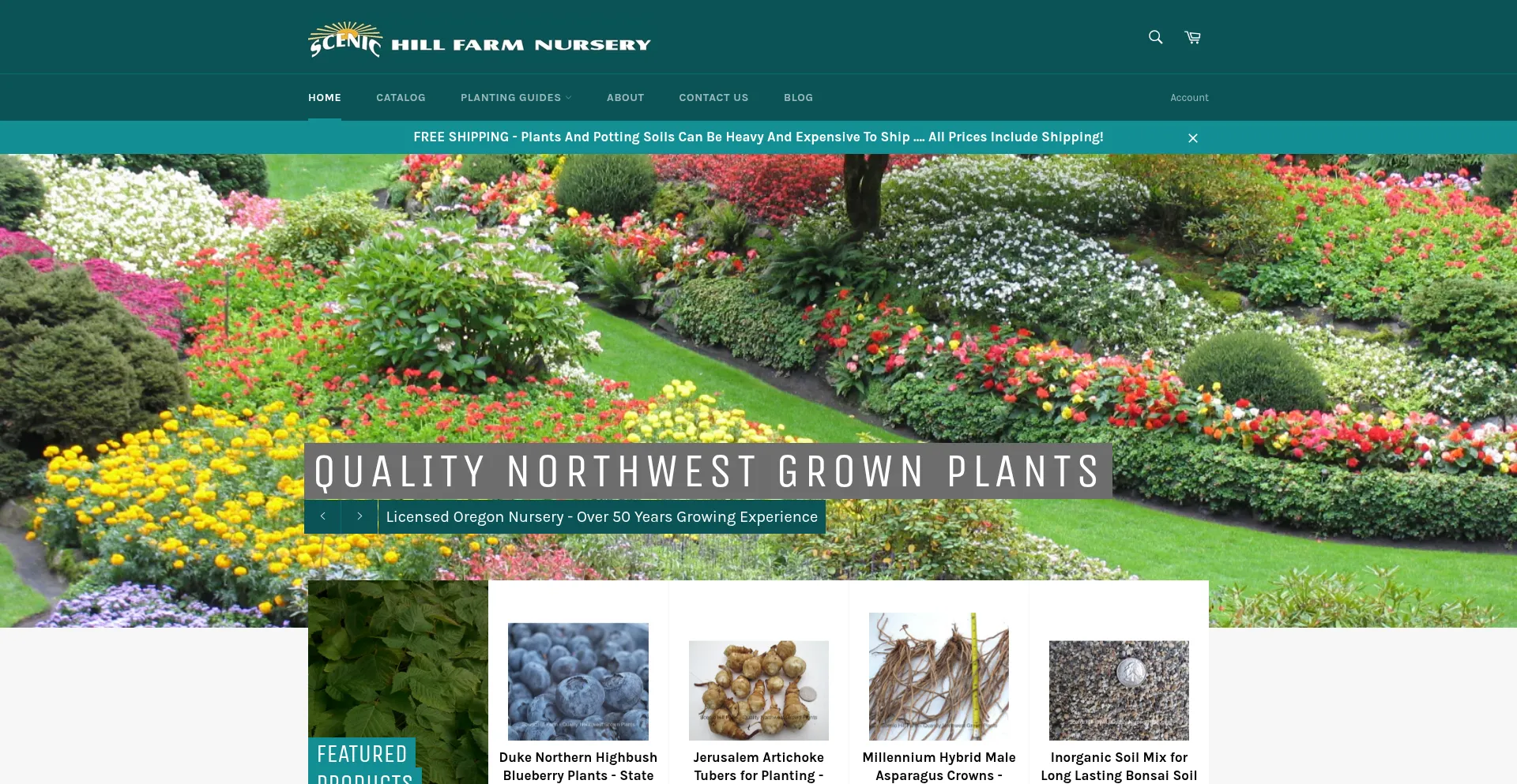 Website screenshot of Scenichillfarmnursery.com
