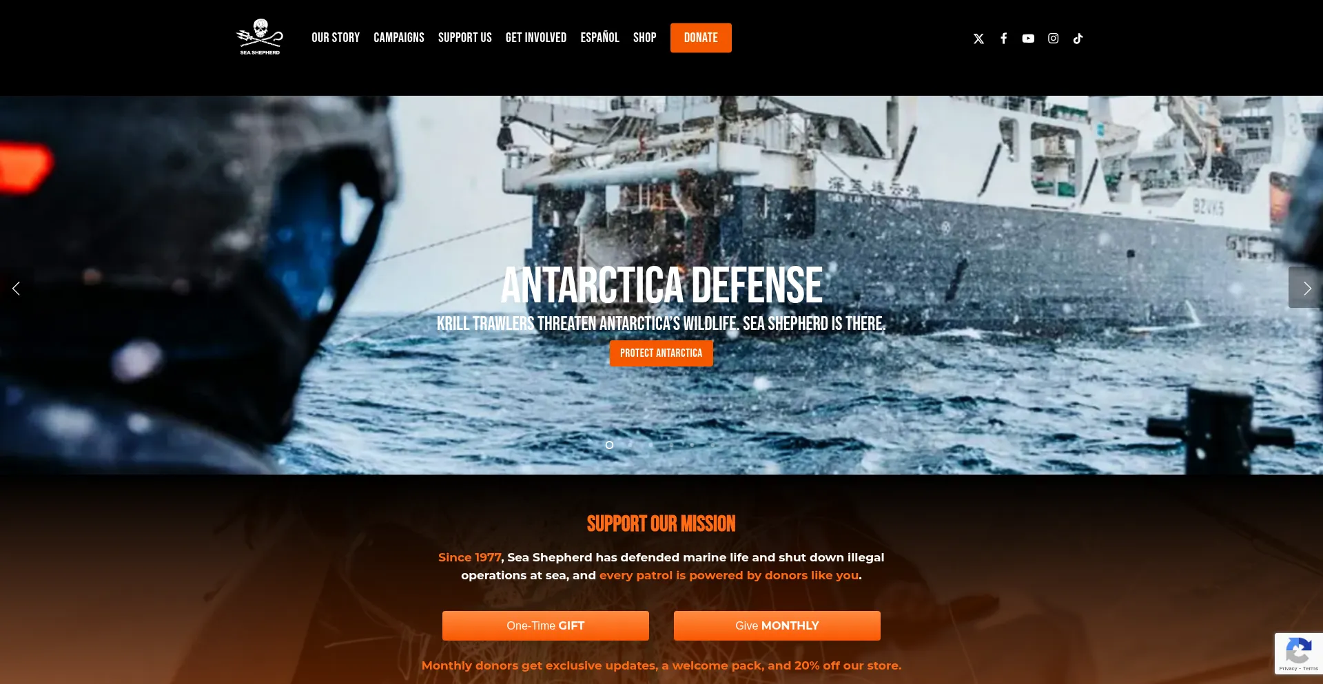 Seashepherd.org Screenshot