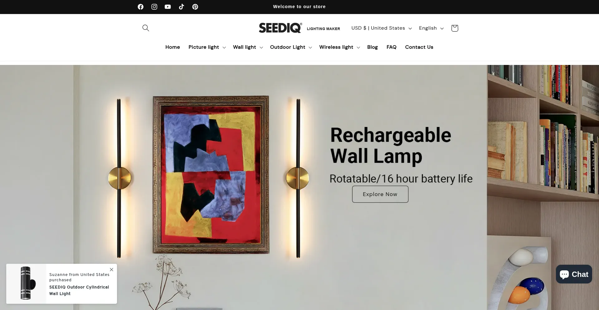 Website screenshot of Seediqlighting.com