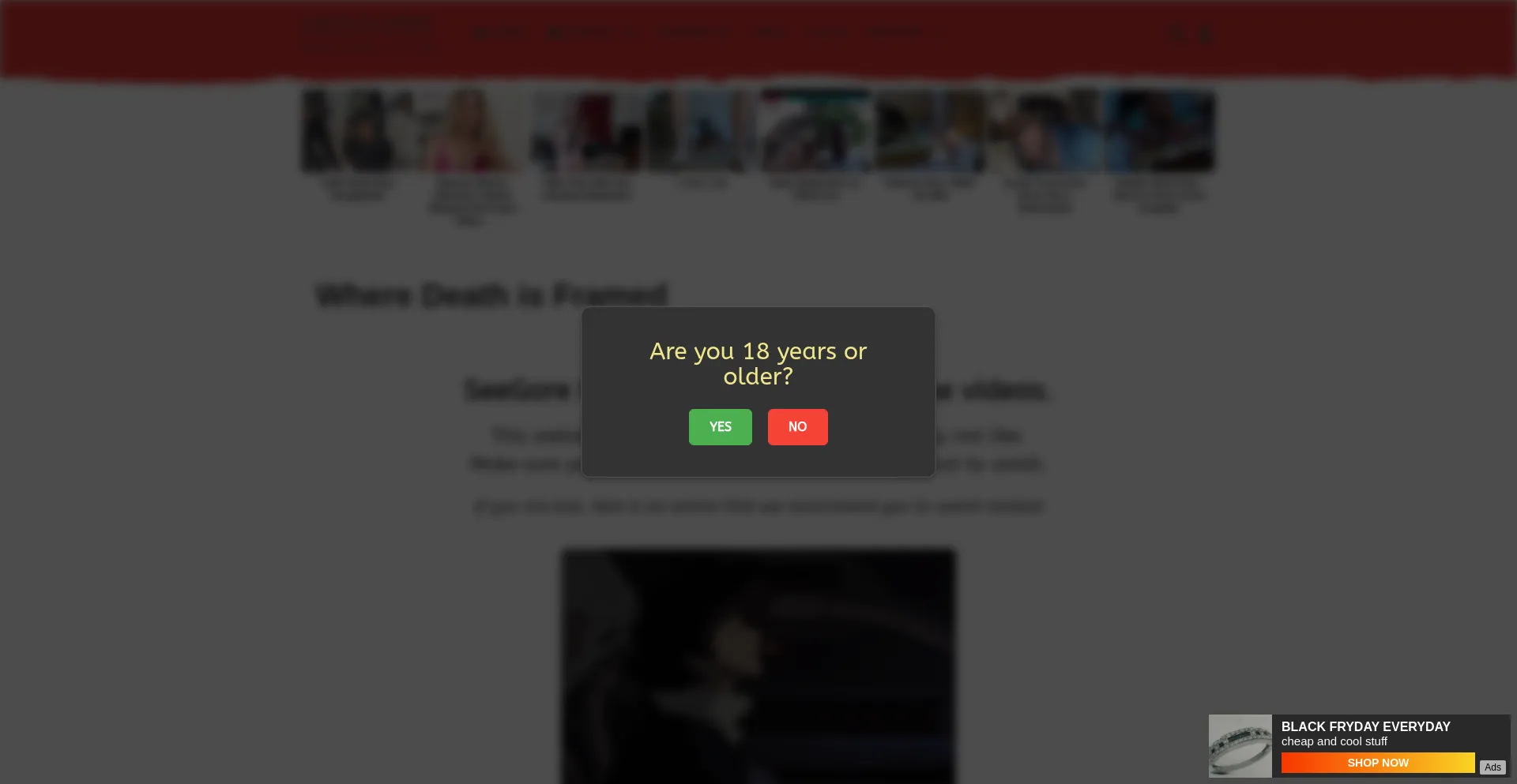Website screenshot of Seegore.com