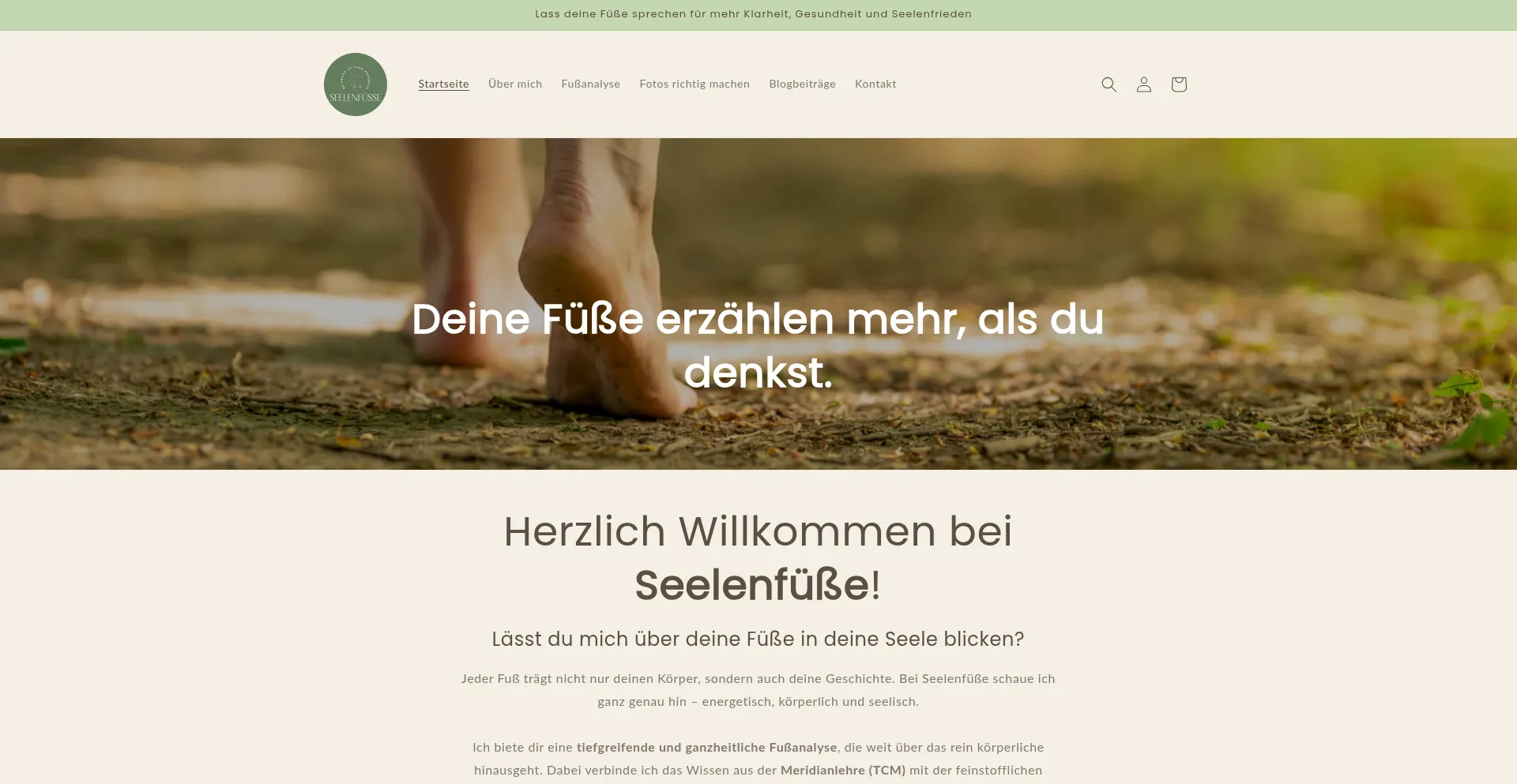 ¿És Seguro y Confiable Seelenfuesse.com?