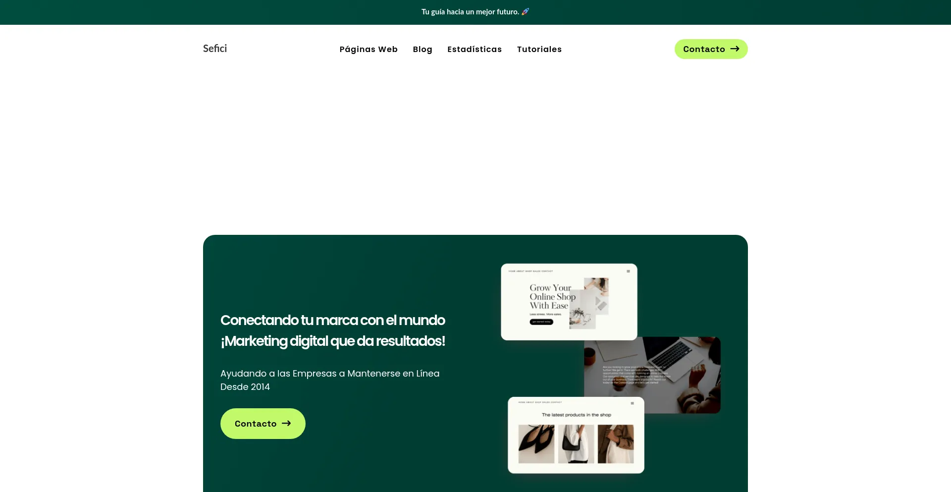 Website screenshot of Sefici.com