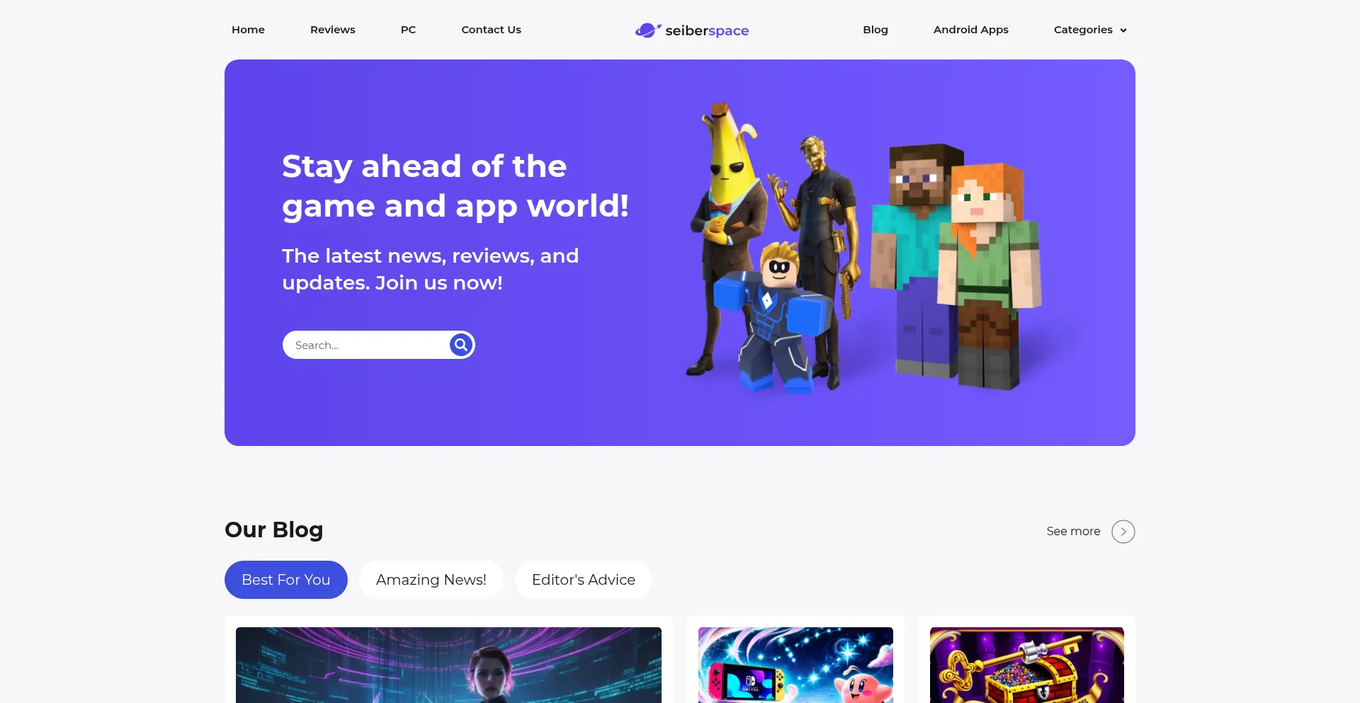 Website screenshot of Seiberspace.org