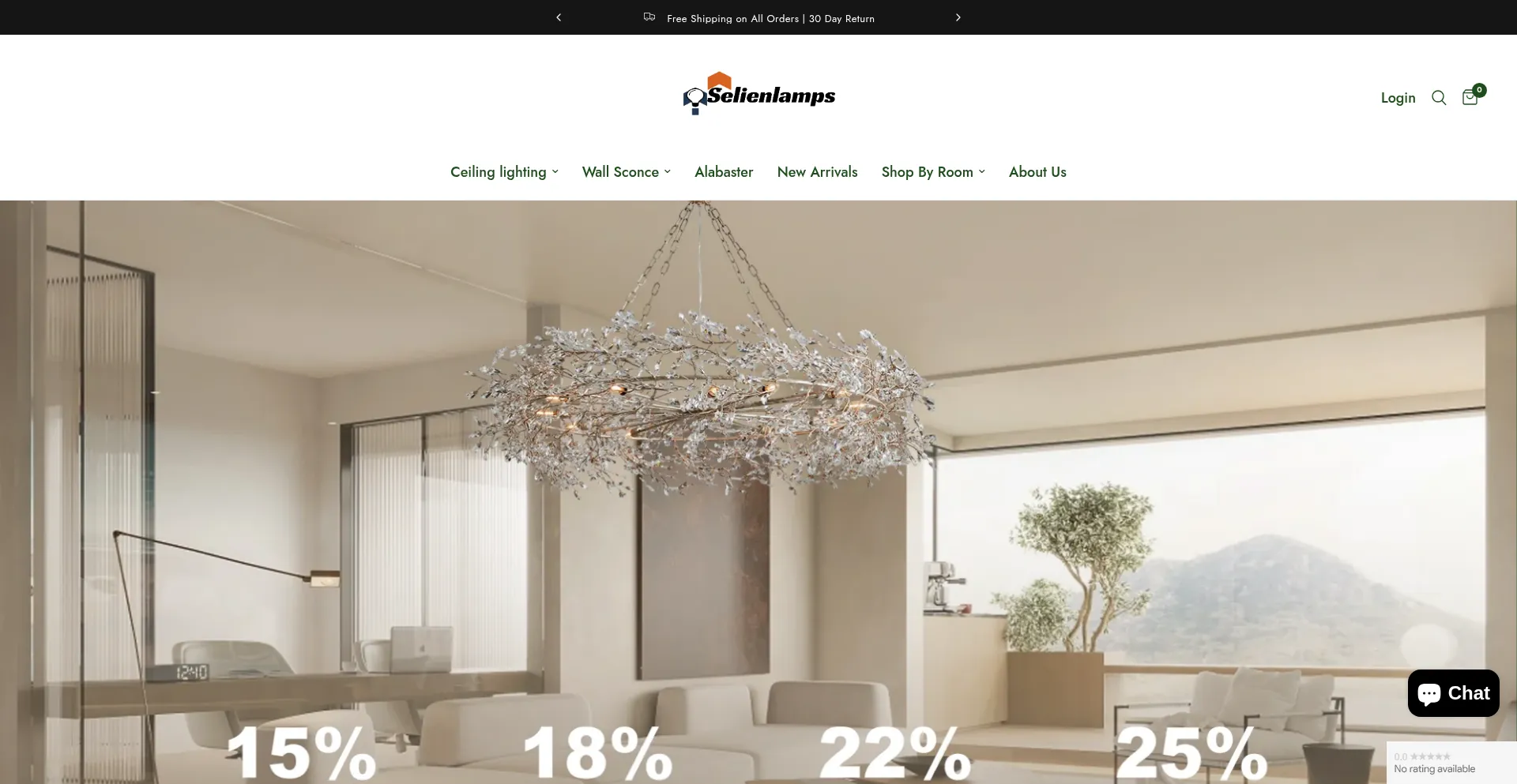 Website screenshot of Selienlamps.com