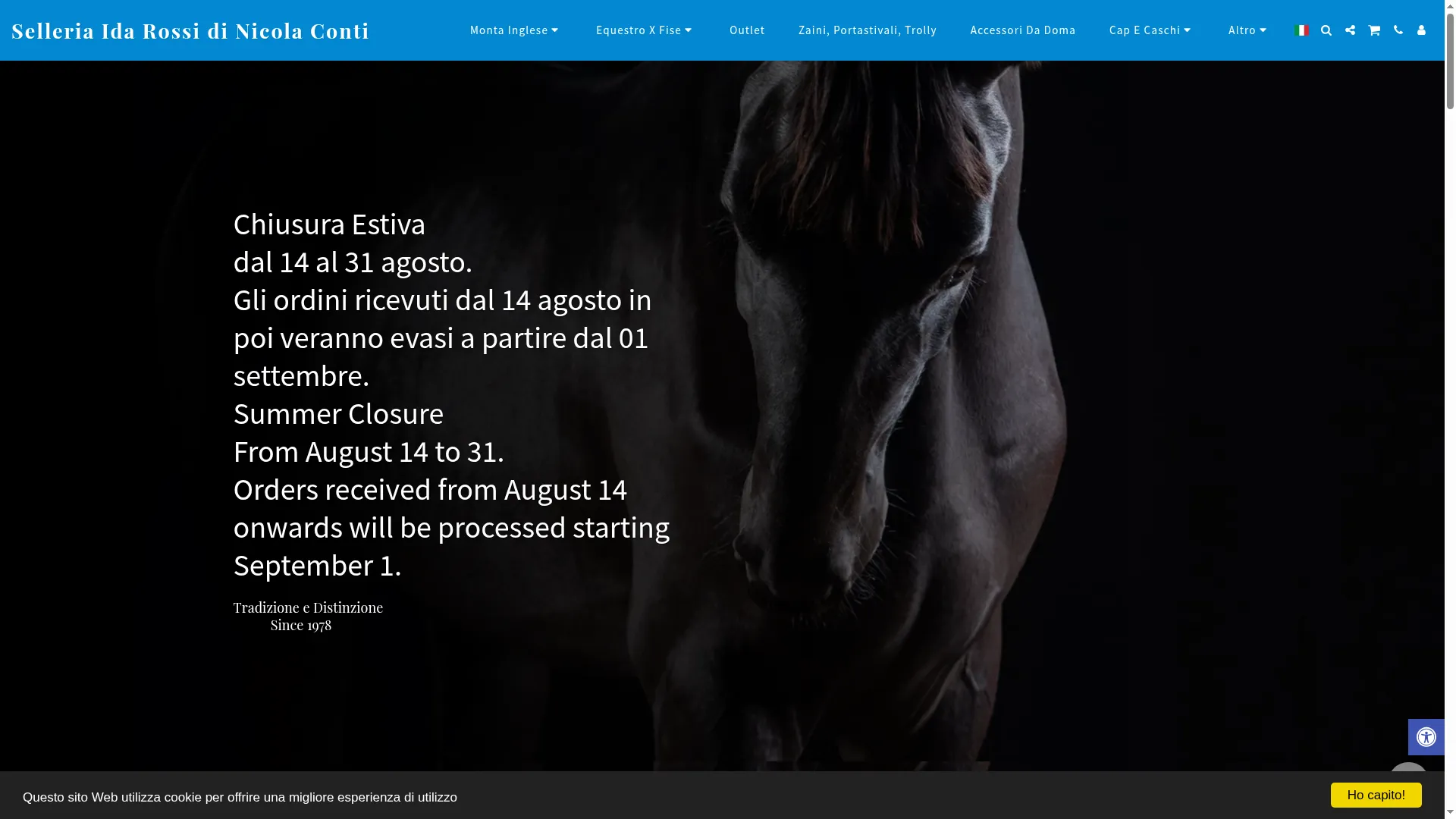 Selleriaidarossi.com
