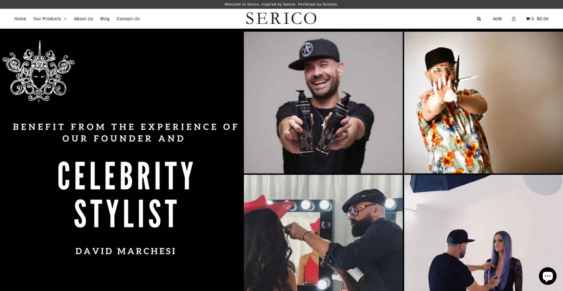 Website screenshot of Serico.com.au