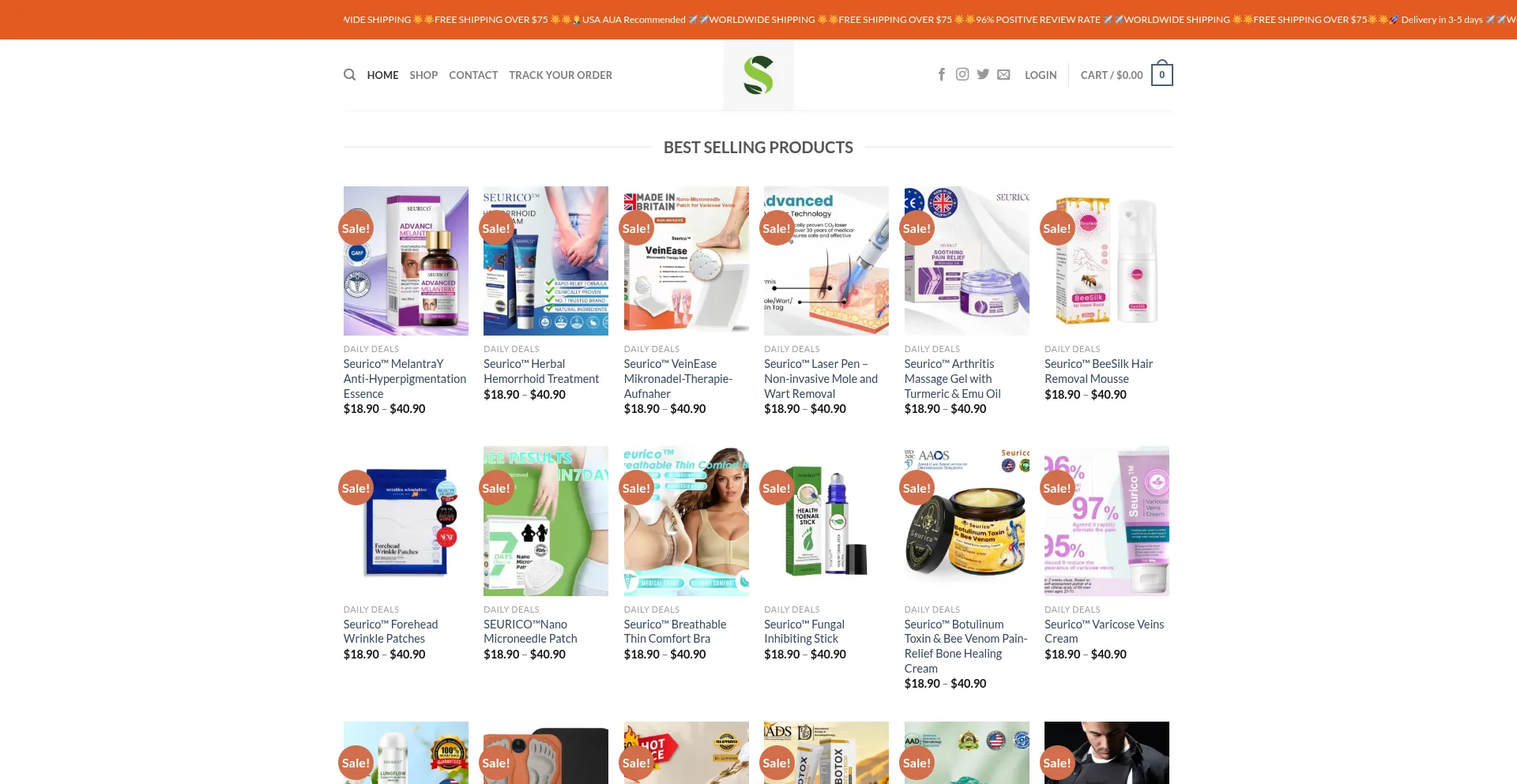 Website screenshot of Seurico.net
