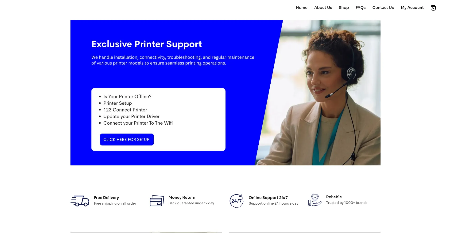 Website screenshot of Shopelectrica.com