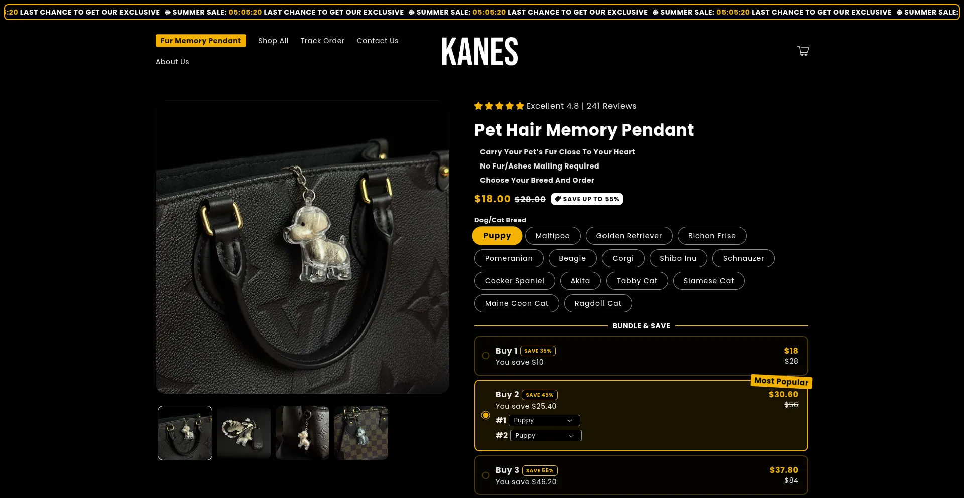 Website screenshot of Shopkanes.com