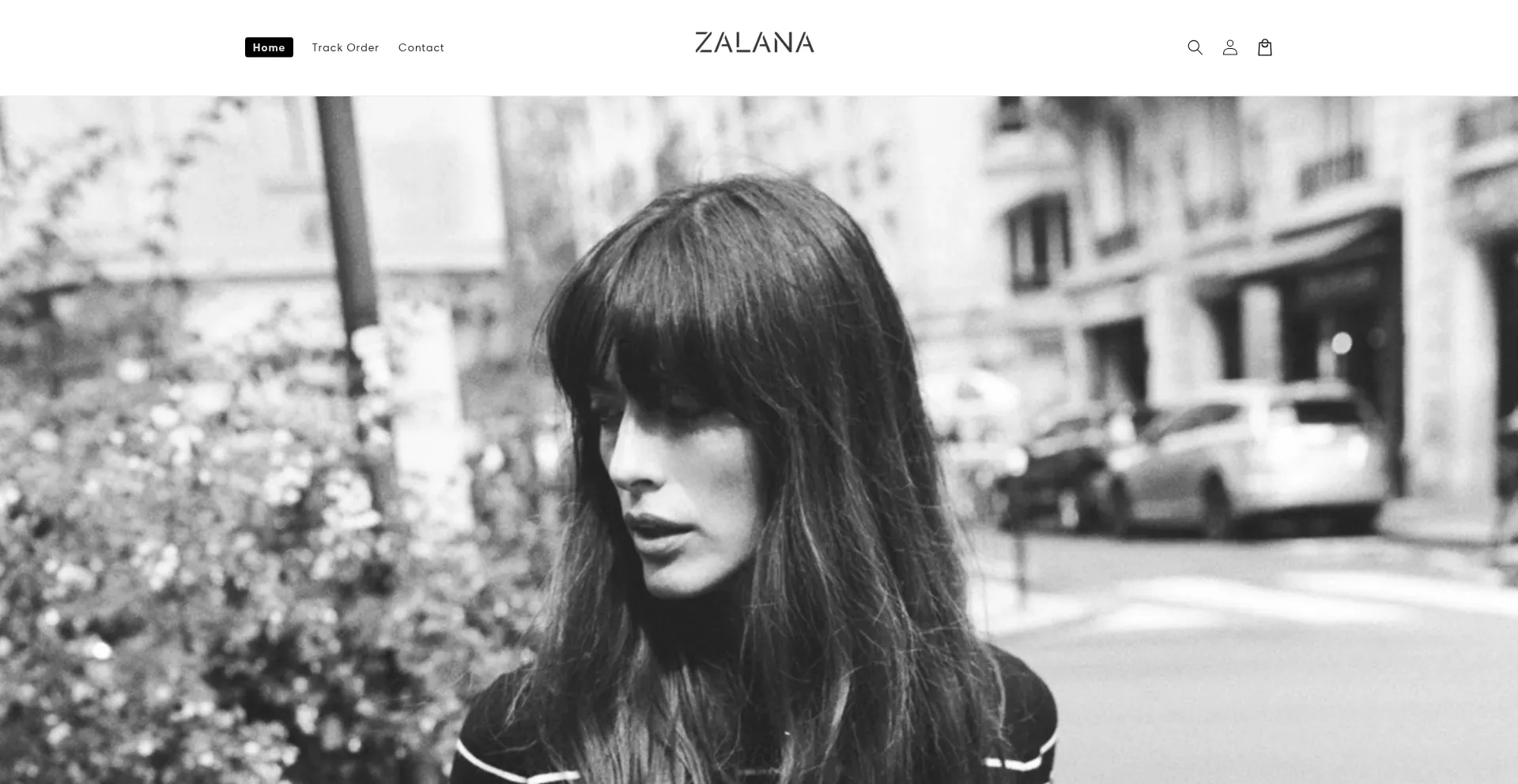 Website screenshot of Shopzalana.com