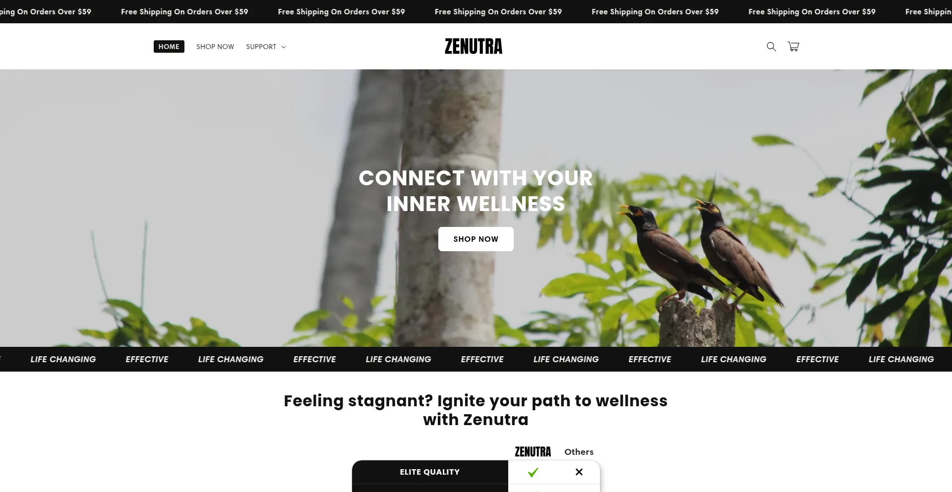 Shopzenutra.com