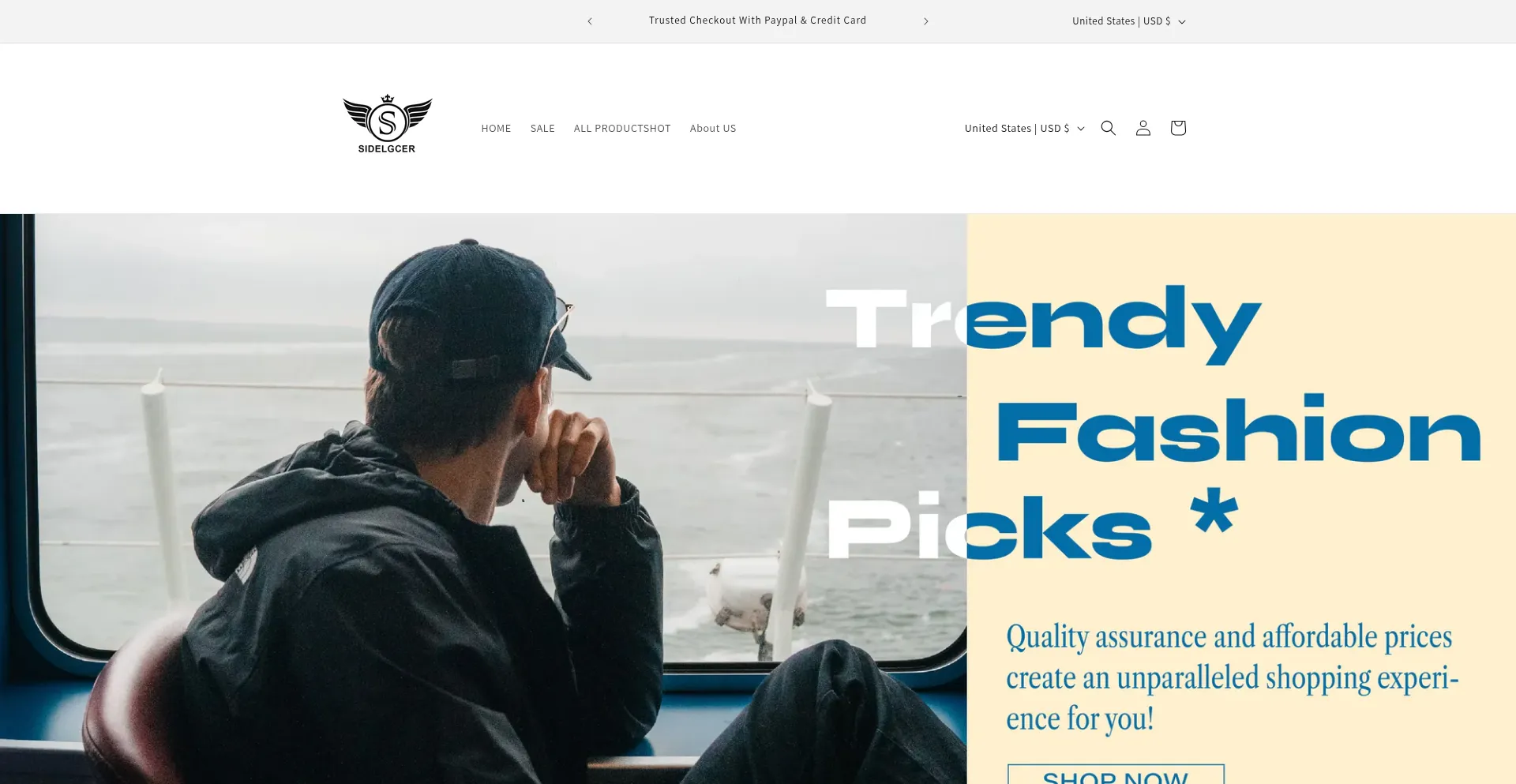 Website screenshot of Sidelgcer.com