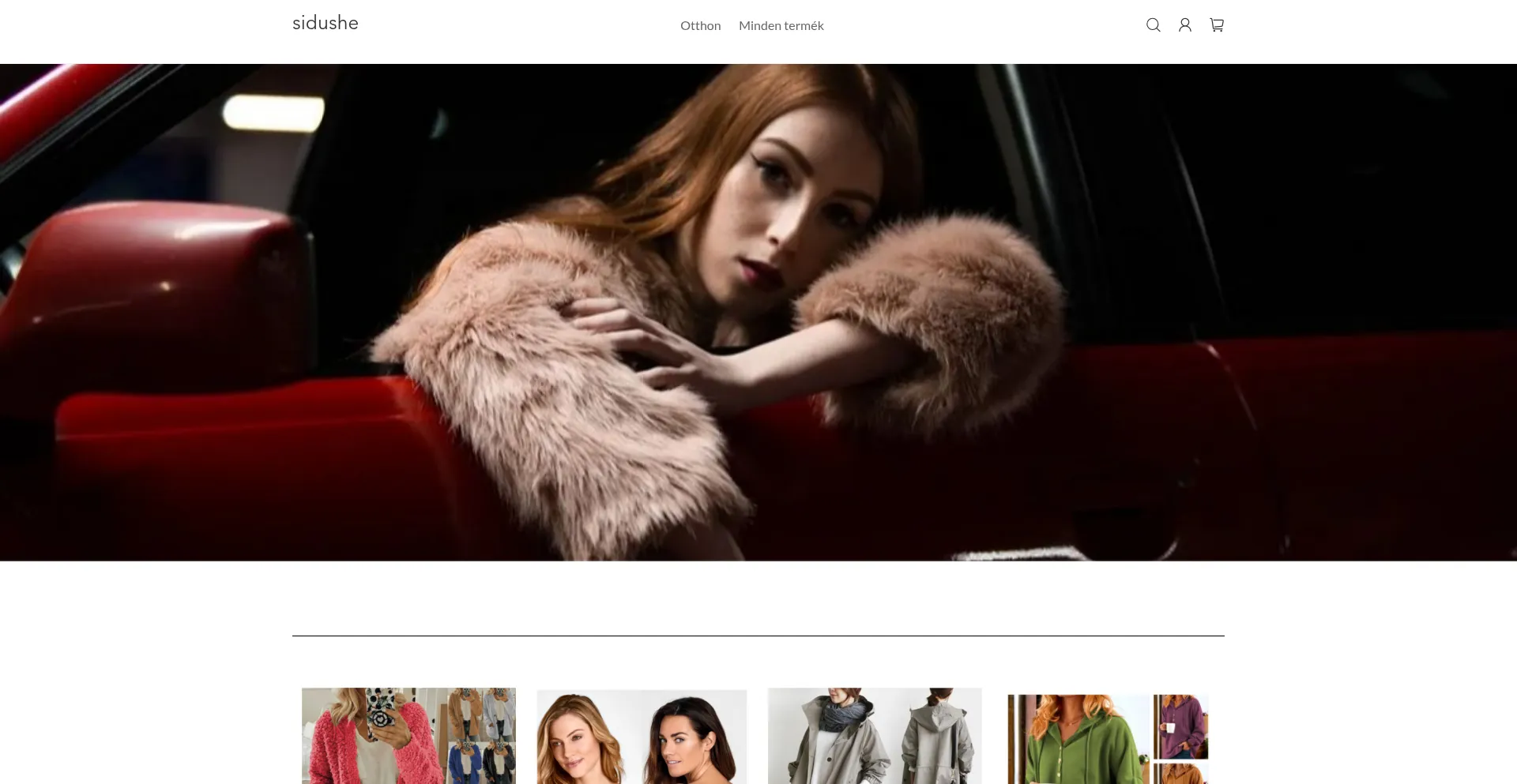 Website screenshot of Sidushe.com