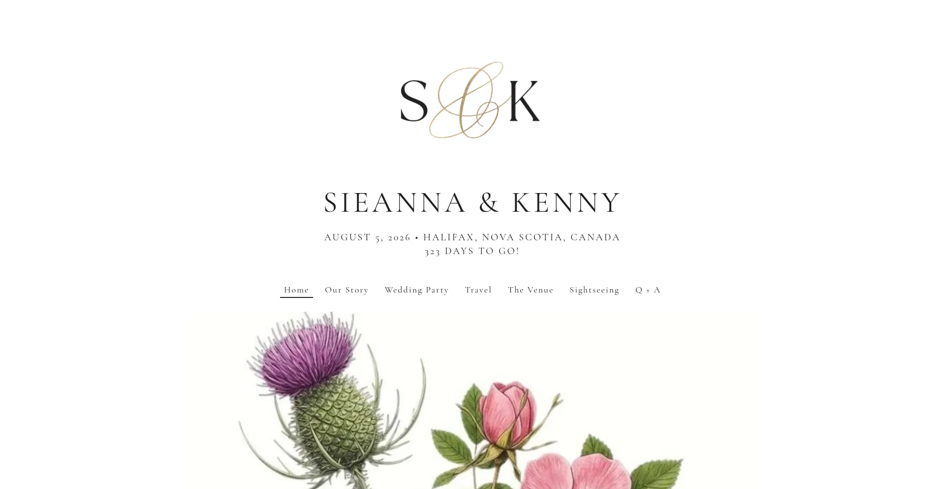 ¿És Seguro y Confiable Sieannaandkenny.com?