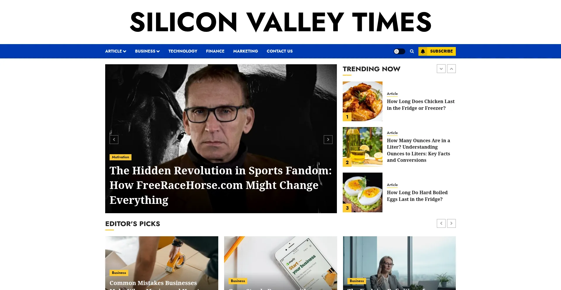 Website screenshot of Siliconvalleytime.com