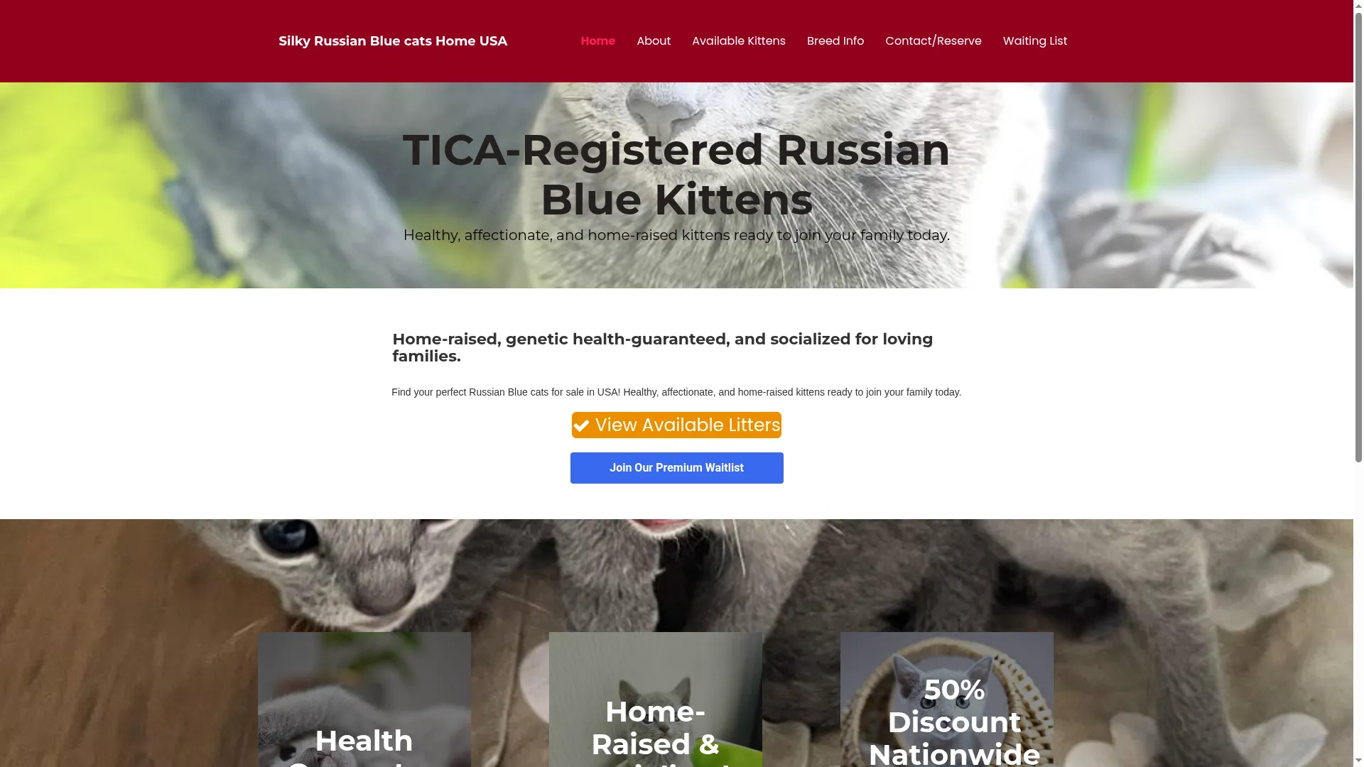Silkyrussianblues.com