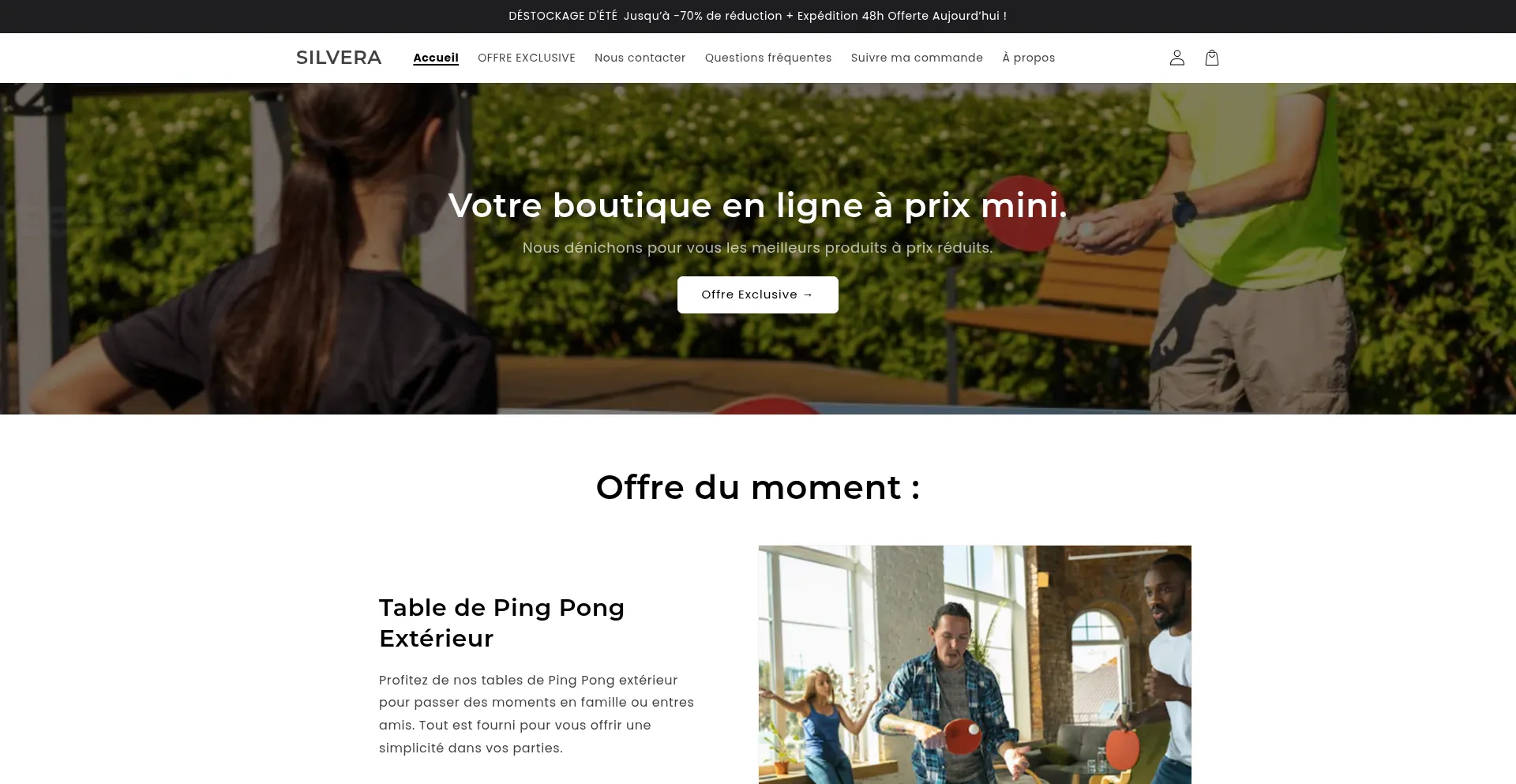 Website screenshot of Silvera-home.com