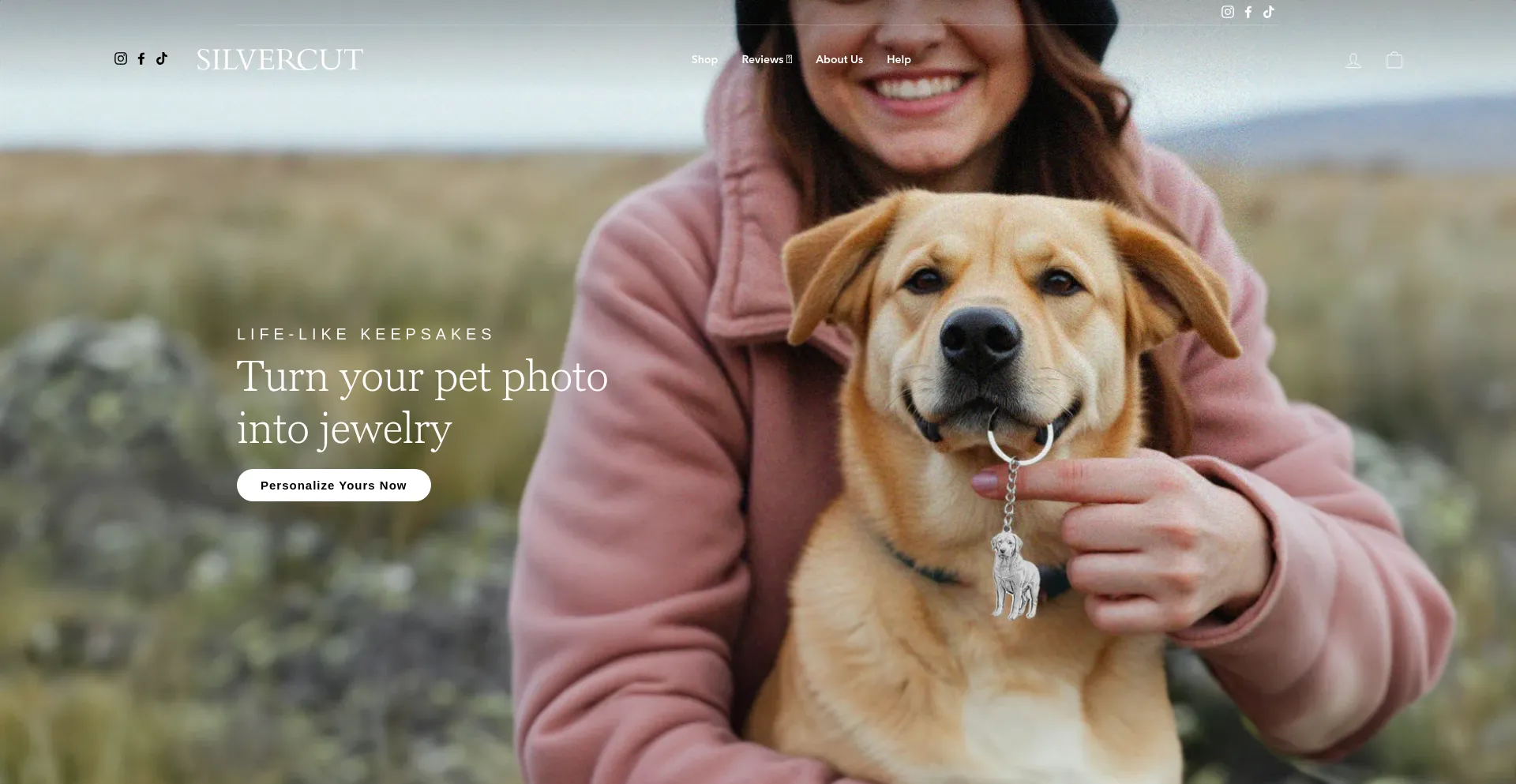 Website screenshot of Silvercut.com