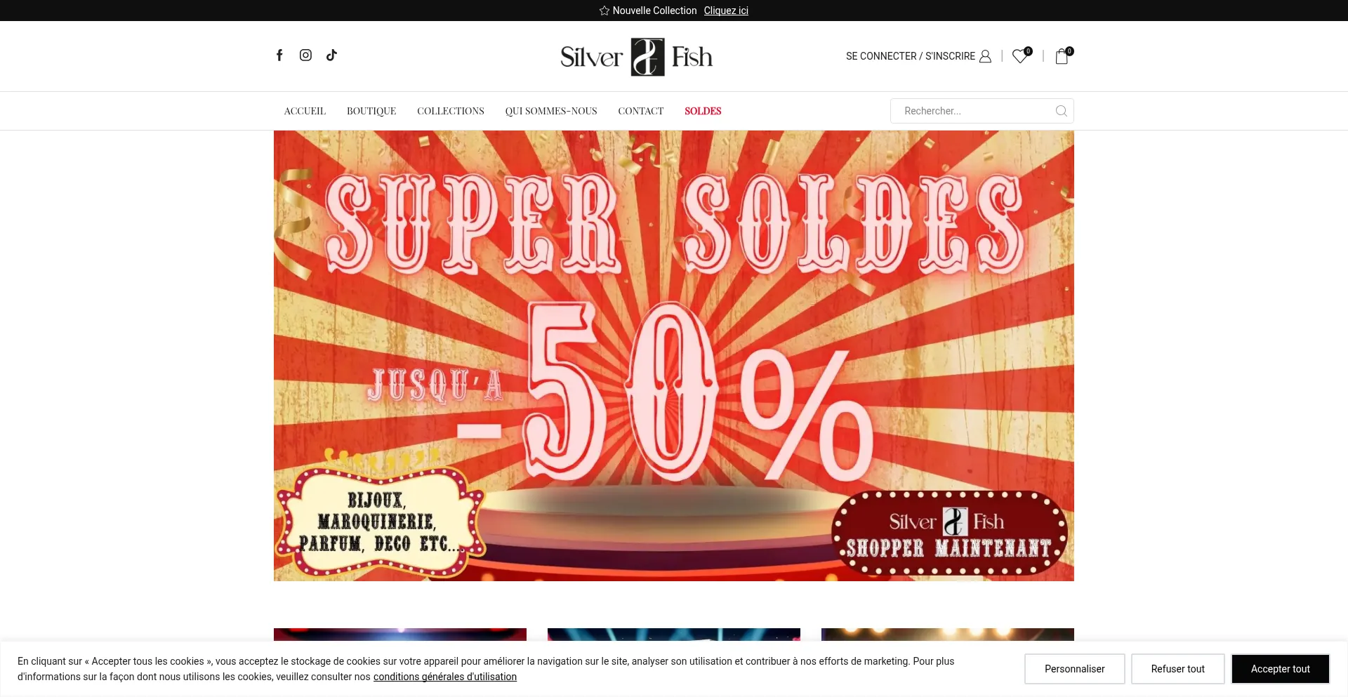 Website screenshot of Silverfish.store