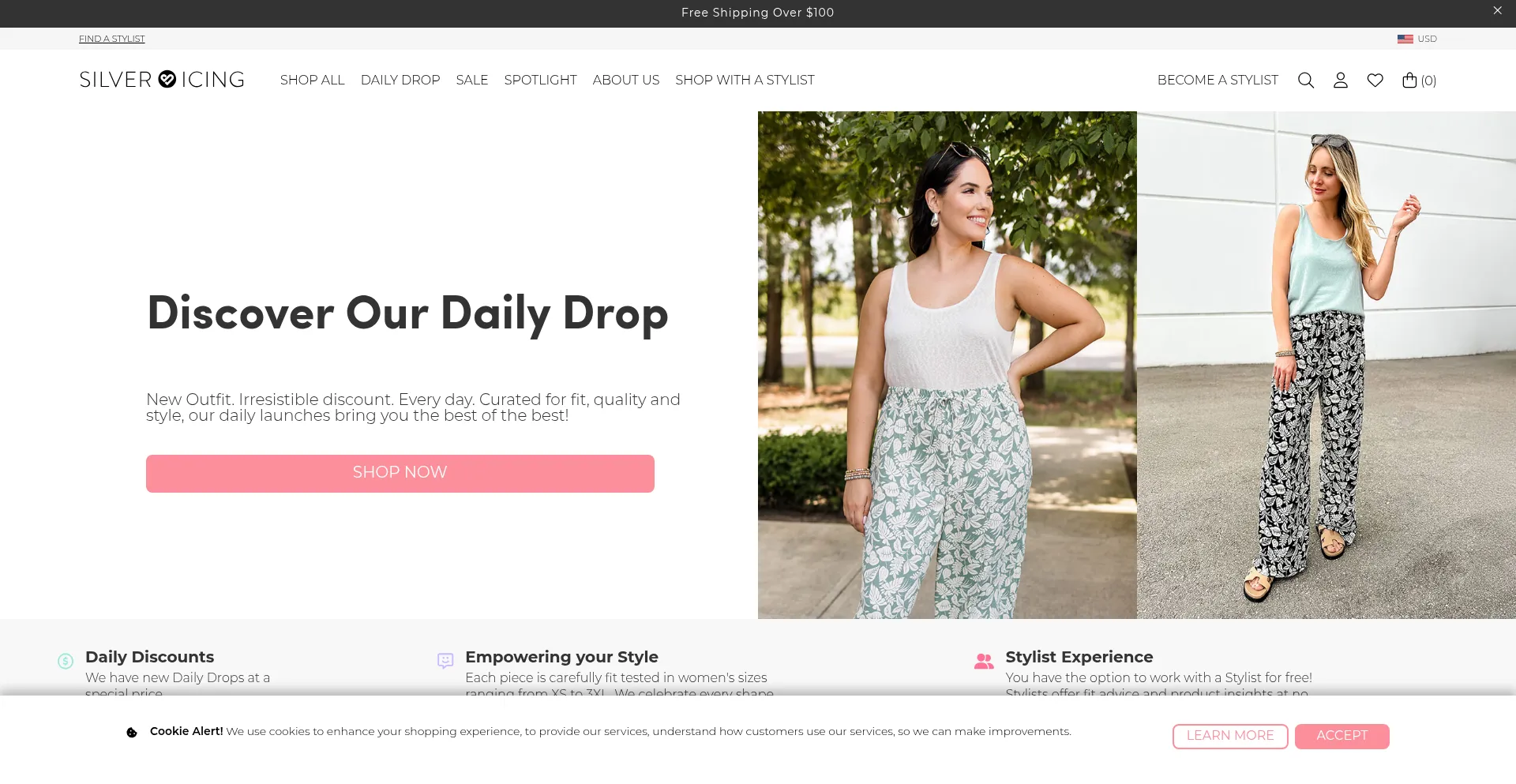 Website screenshot of Silvericing.com