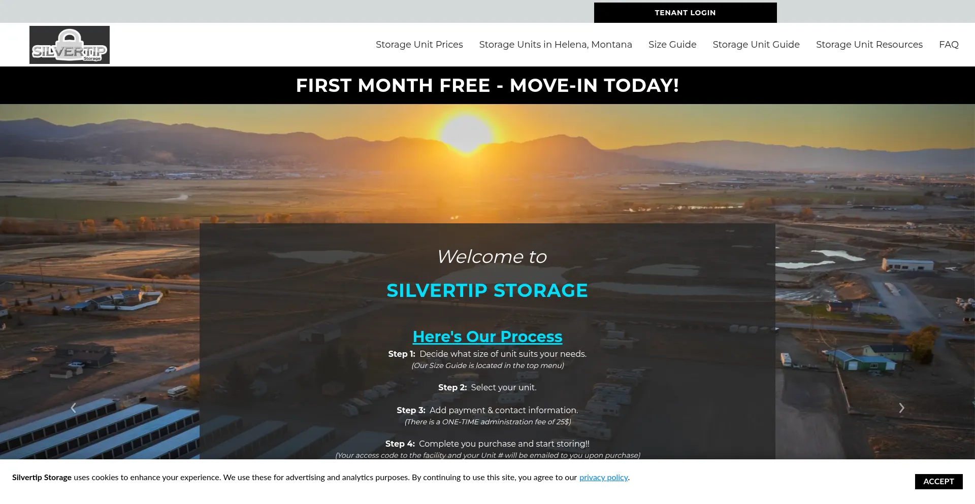 Website screenshot of Silvertipstorage.com