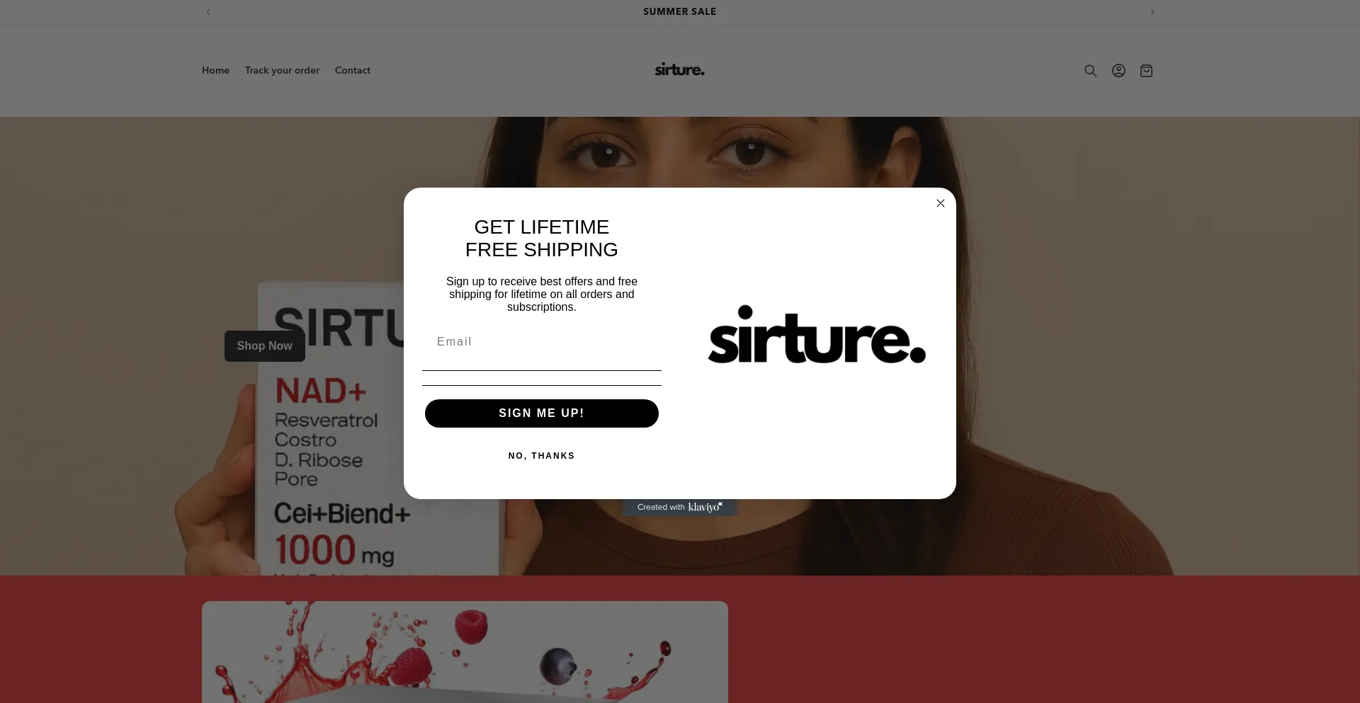 Website screenshot of Sirture.com